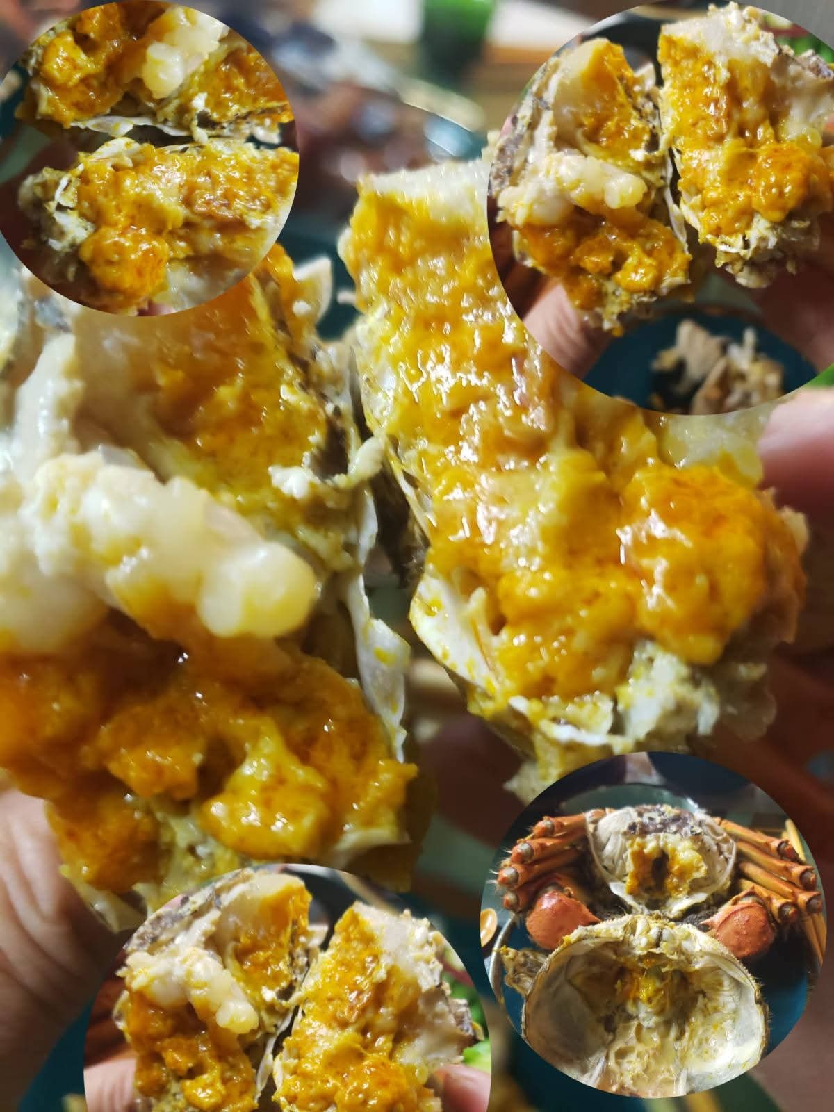 #大閘蟹 #火火國際 #火火netshop #持牌網店  #六月黃 #潮式醃蟹 #生折蟹粉 #江蘇  #公蟹 #母蟹 #正規進口 #花雕 #太雕 #黄酒 #加飯酒 #紹興酒 #善釀酒 #梅酒 #古越龍山 #青序 #女兒紅 #天純