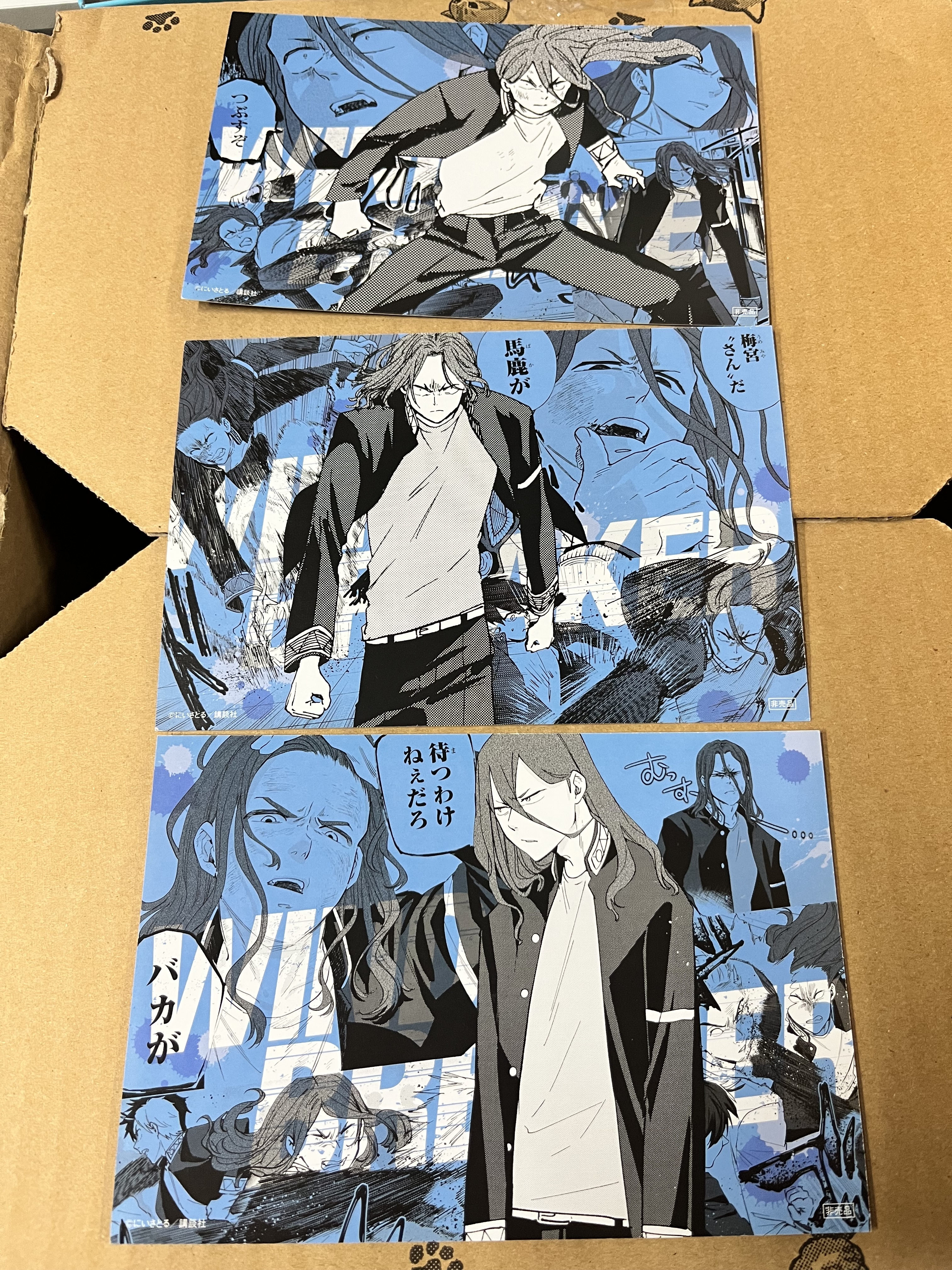 WIND BREAKER 杉下 紙品 set#341