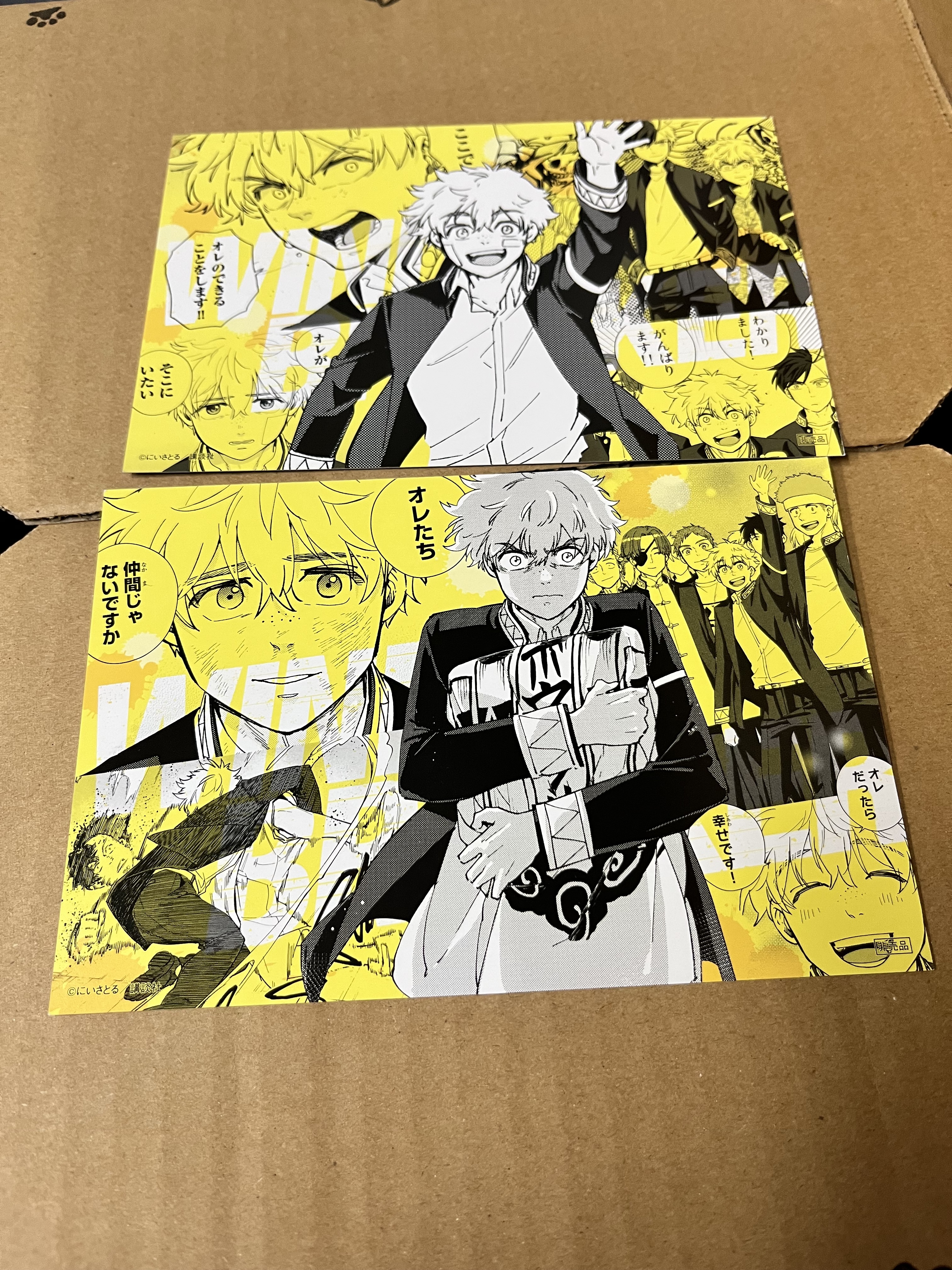 WIND BREAKER 榆井 紙品 set#341