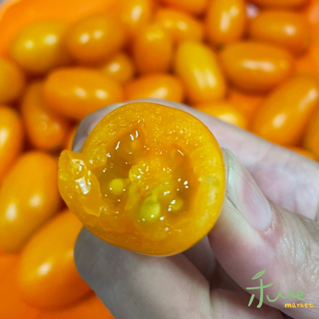 【美濃】冠軍金瑩小番茄