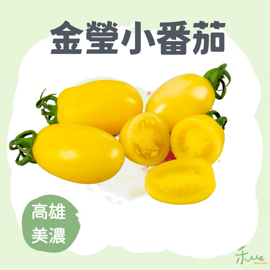 【美濃】冠軍金瑩小番茄