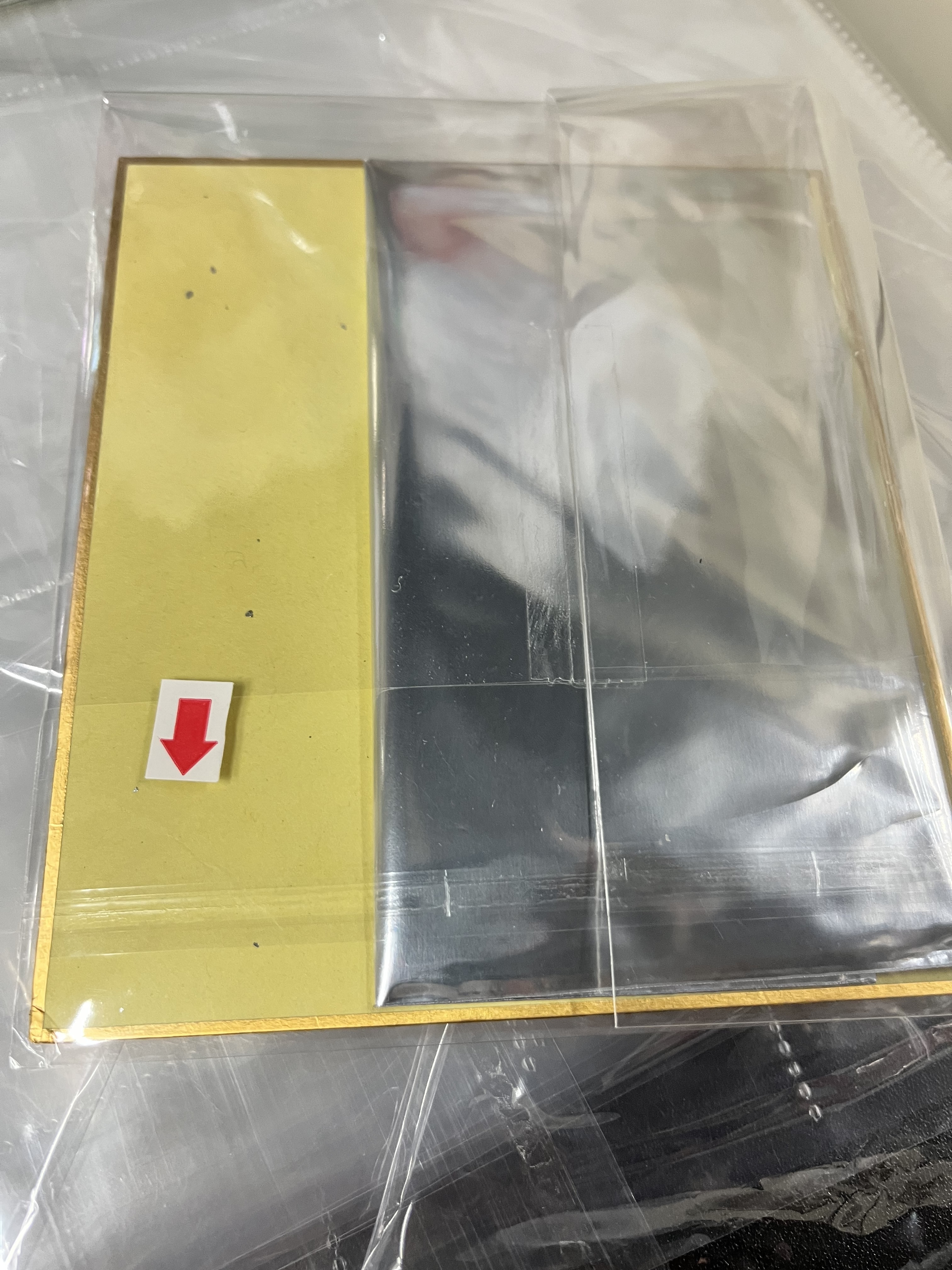 WIND BREAKER 十龜 色紙 瑕#341