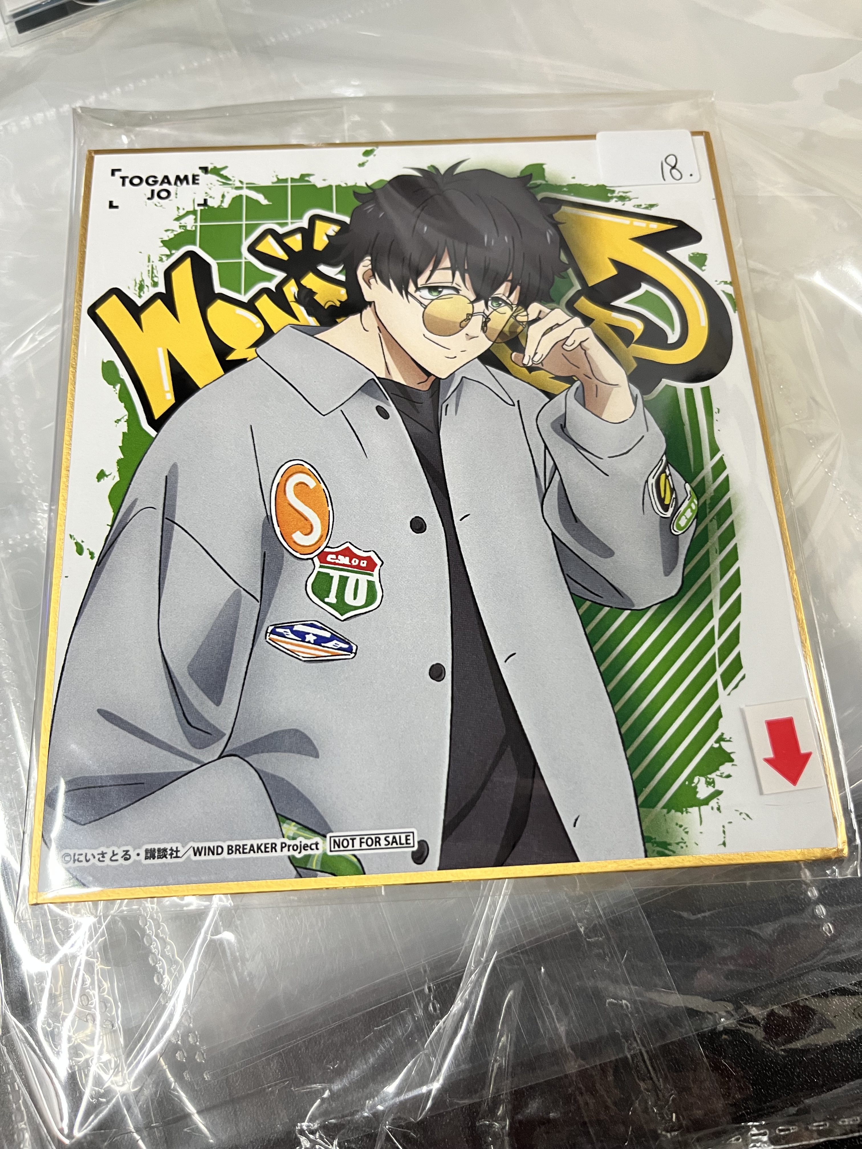 WIND BREAKER 十龜 色紙 瑕#341