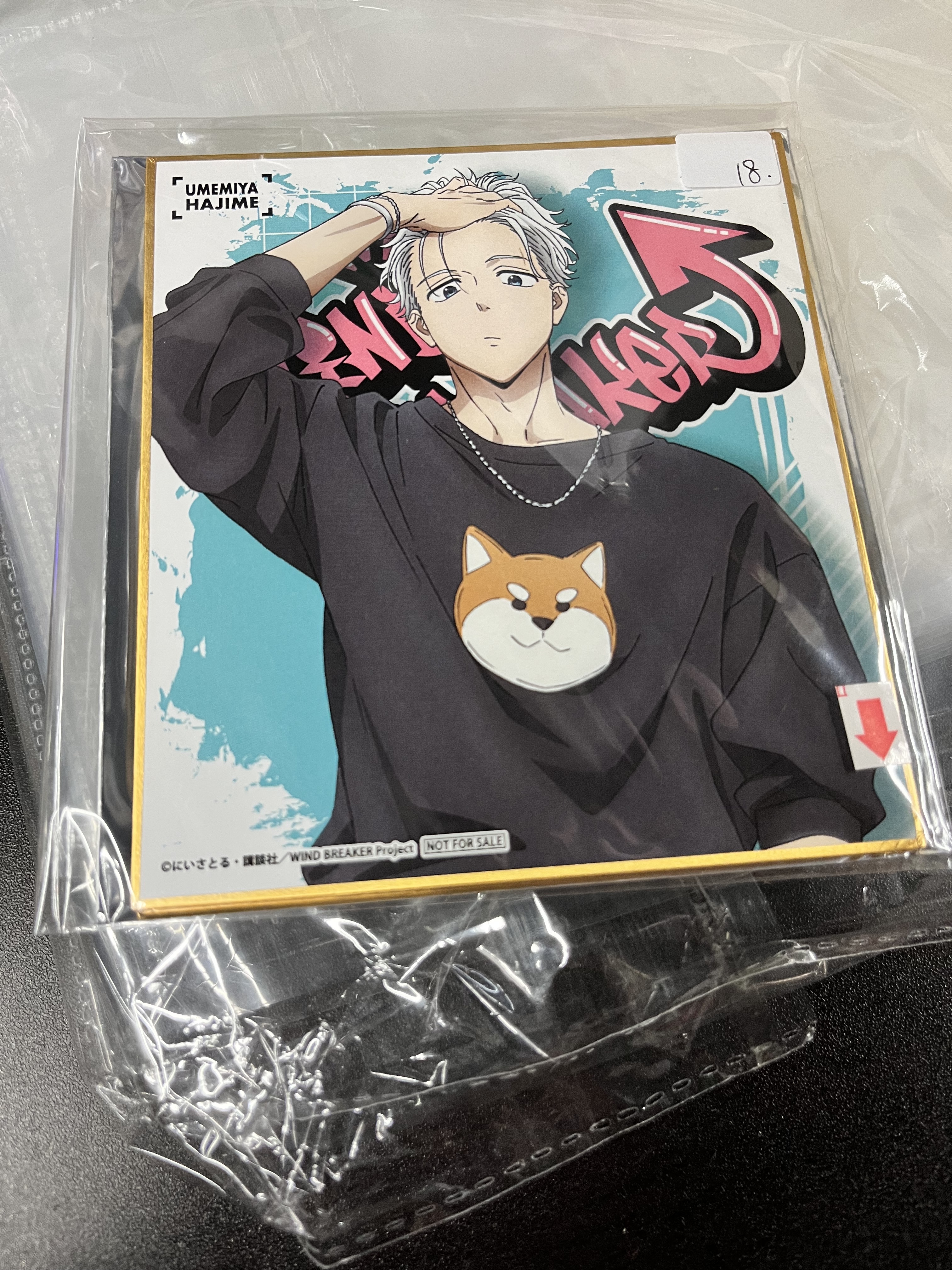 WIND BREAKER 梅宮 色紙 角瑕#341