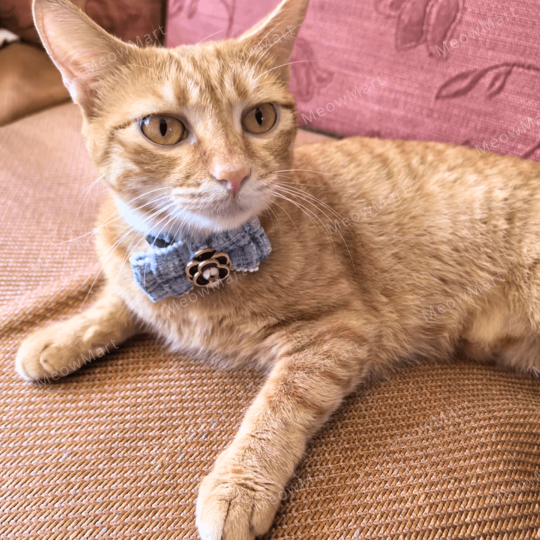 山茶花珍珠貓頸圈