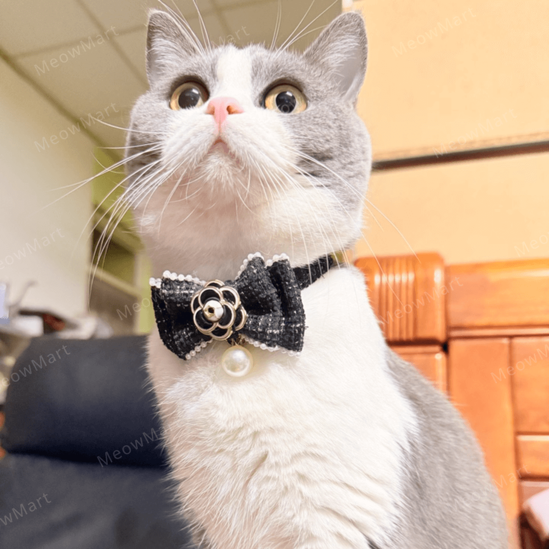 山茶花珍珠貓頸圈