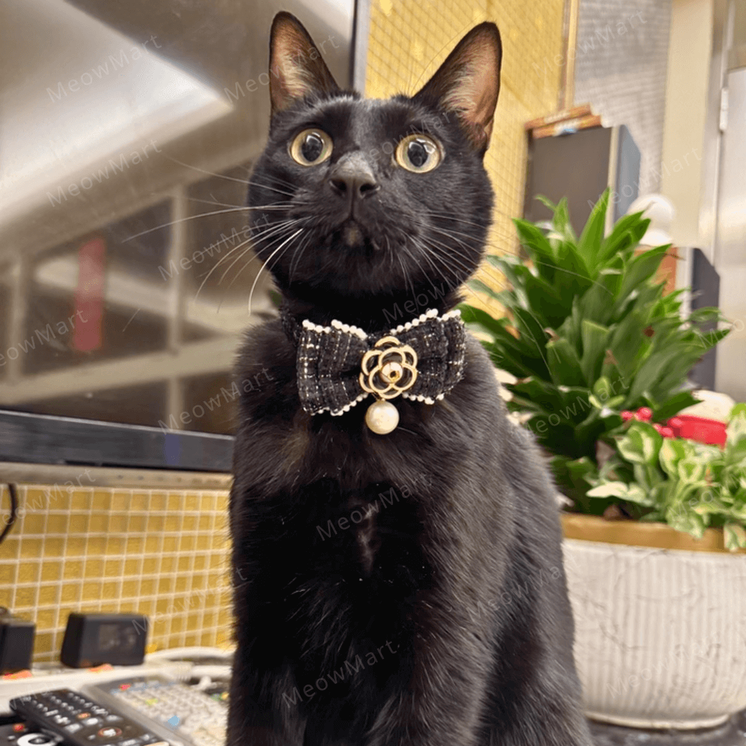 山茶花珍珠貓頸圈