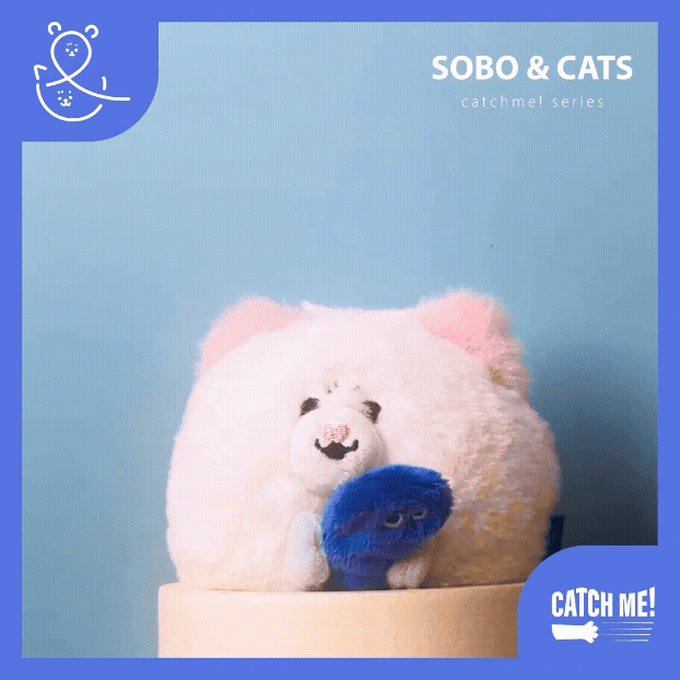SOBO & SOCK 貓草夥伴