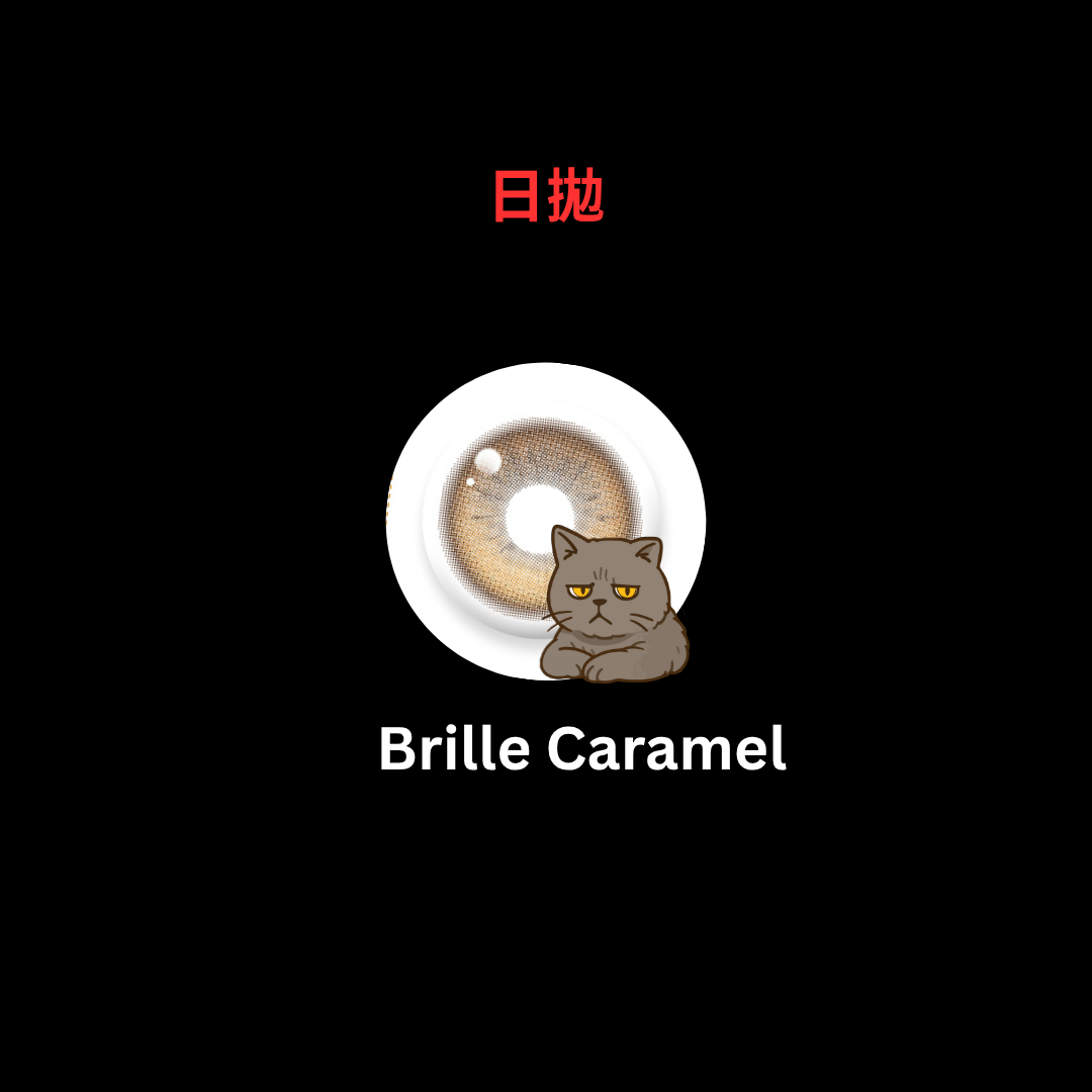 [日拋] FiPN 1 Day Brille Caramel 日拋隱形眼鏡｜每盒10片