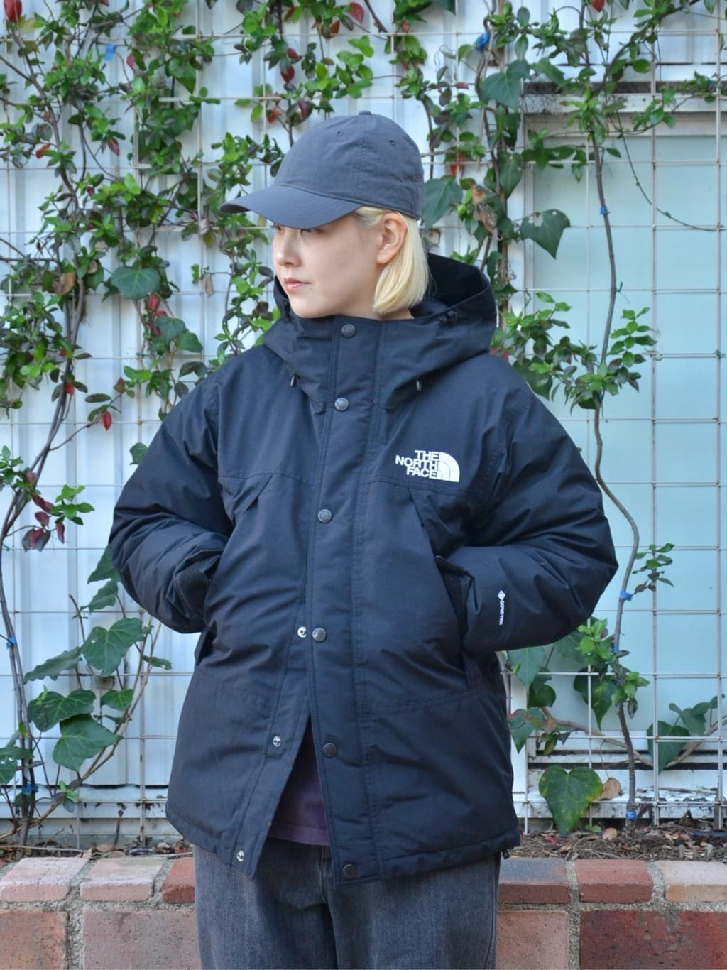 預購┃日本 THE NORTH FACE Mountain Down Jacket GORE-TEX 防水 羽絨 連帽外套