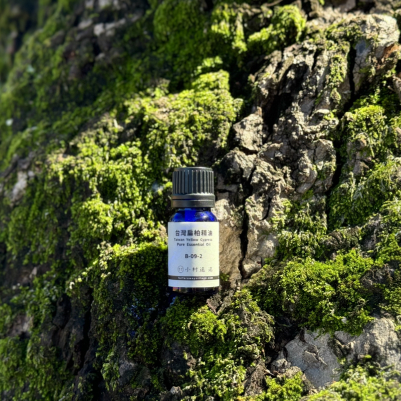 【NEW】台灣扁柏（黃檜）精油｜台灣特有精油