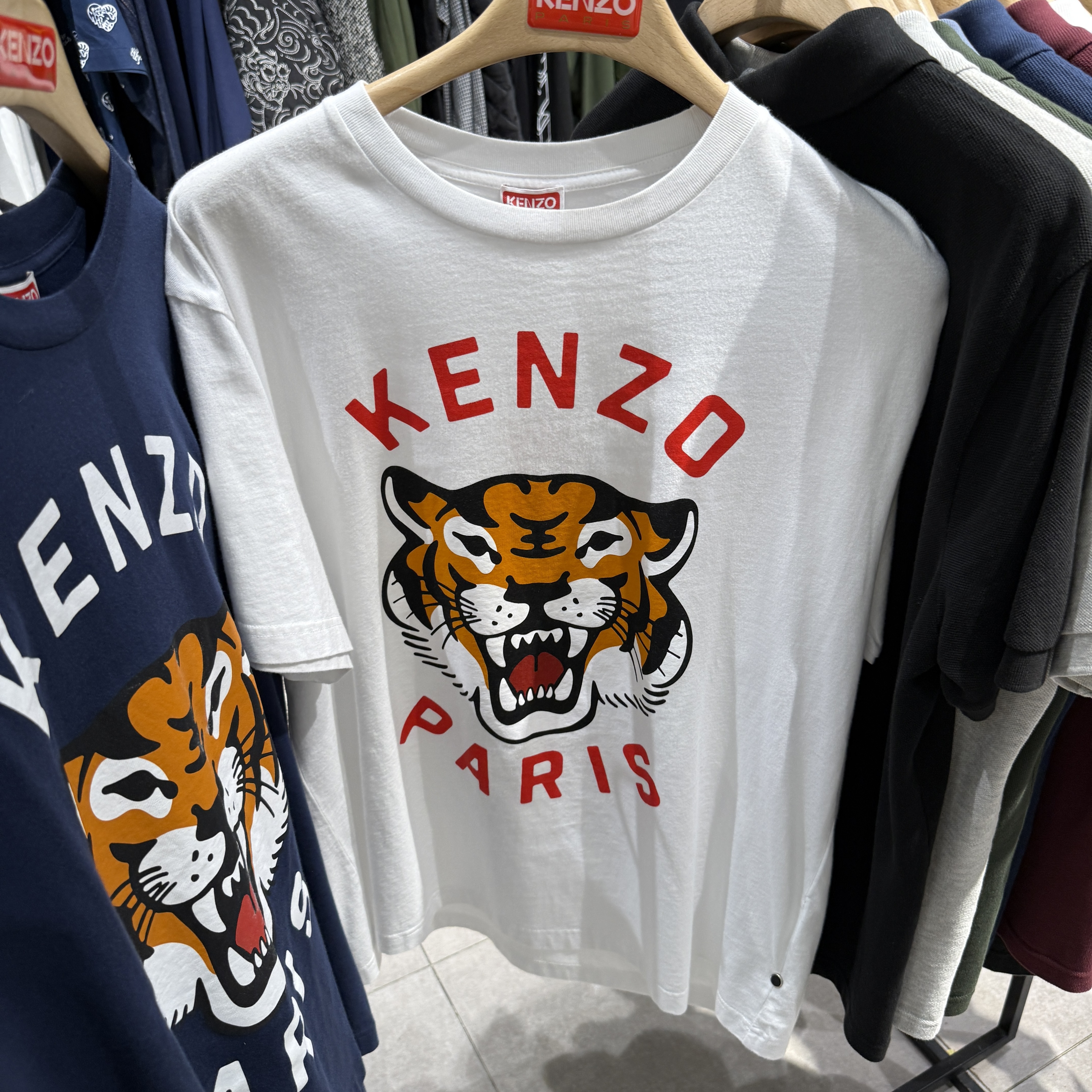 Kenzo MEN Iconic Tiger short sleeve T-shirt 4 colors