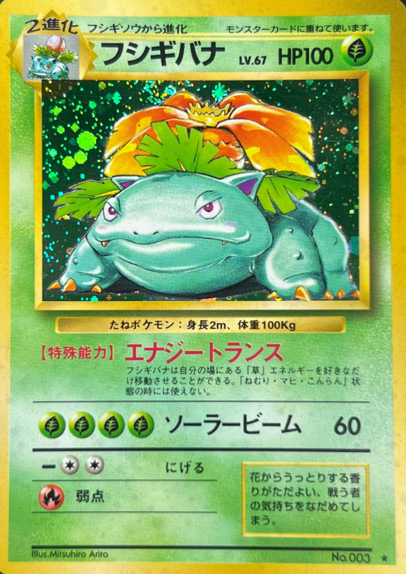 POKEMON JAPANESE VINTAGE NO.003A