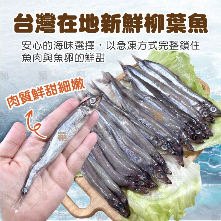 台灣產地更安心的海味選擇，單棟急凍技術保鮮更加