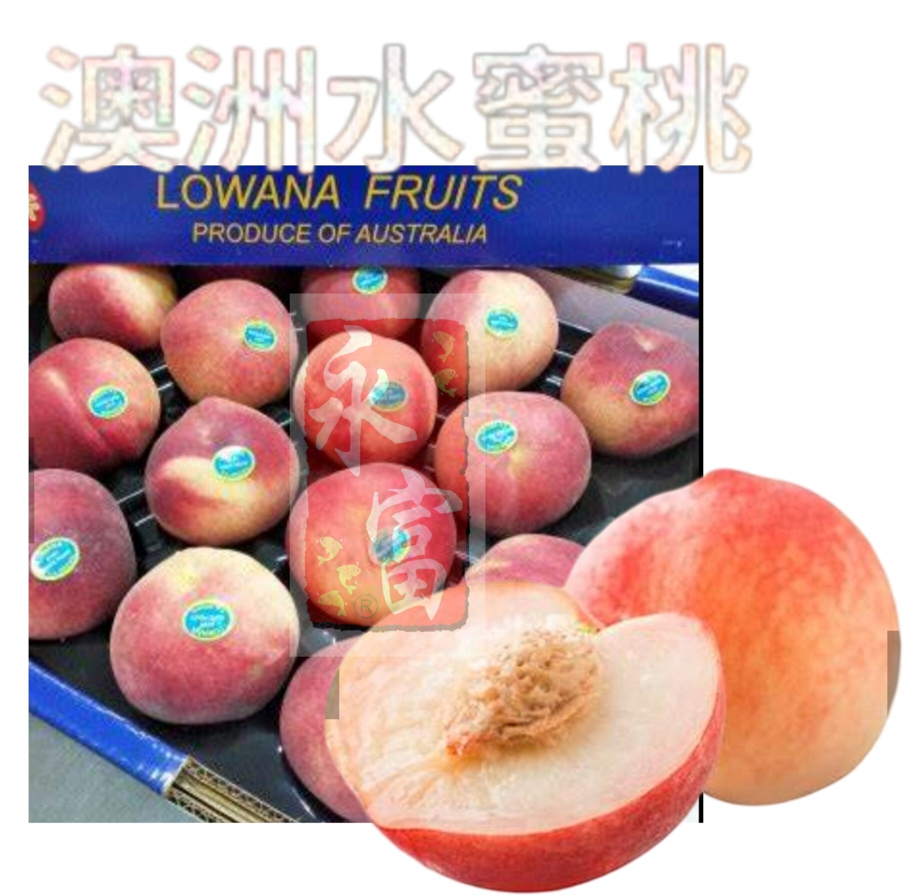 澳洲水蜜桃(白肉)