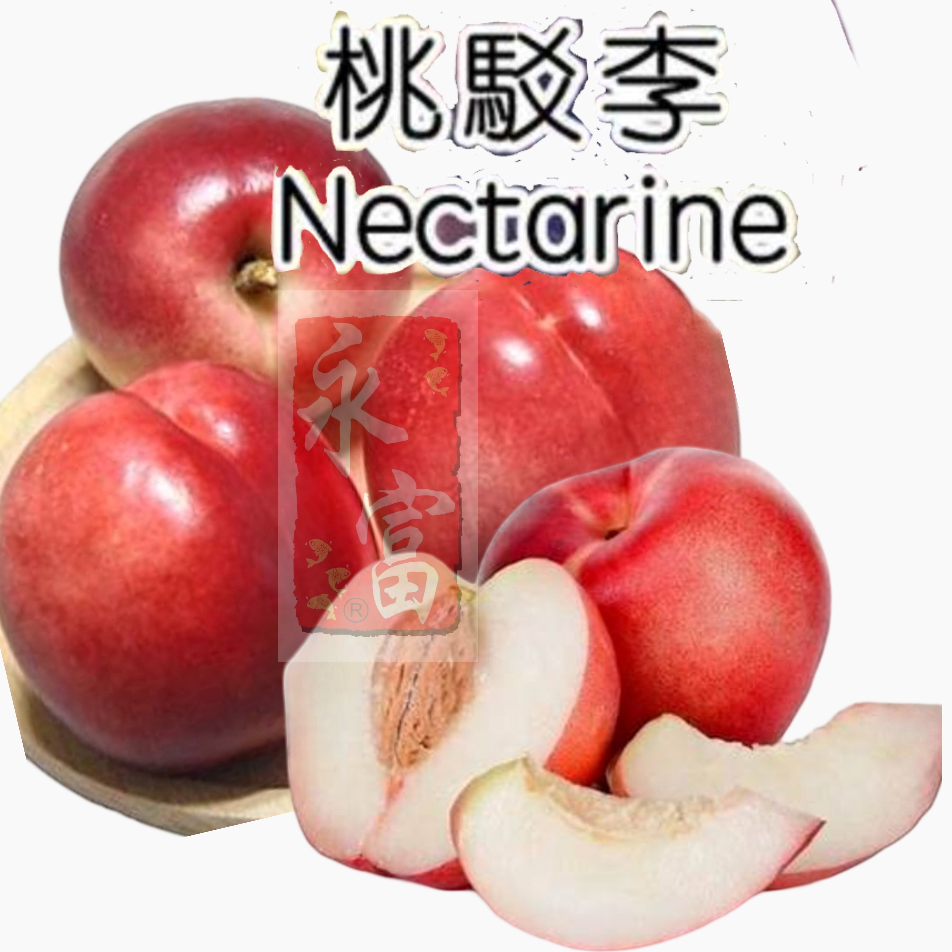 澳洲桃駁李(5個)