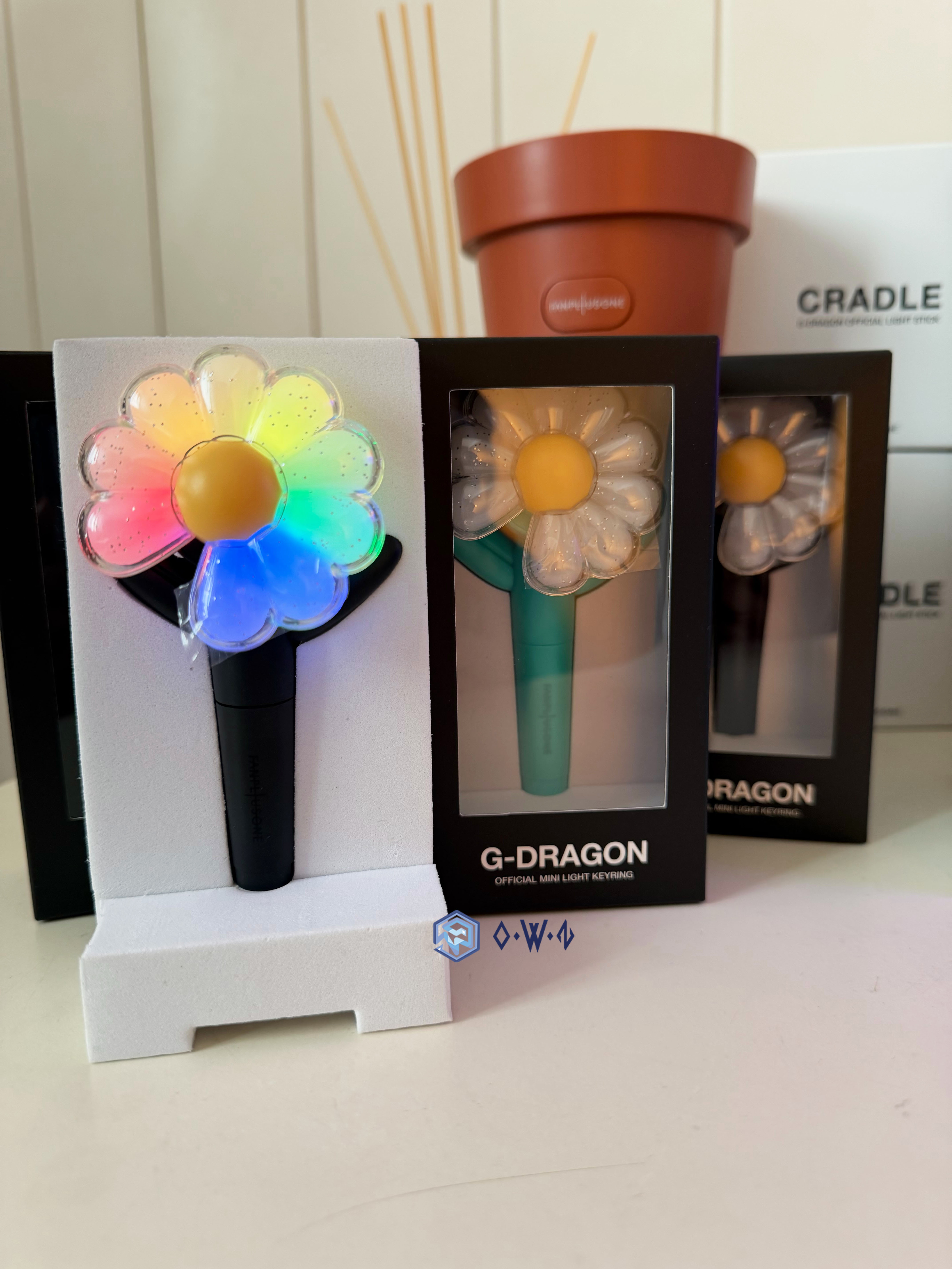 【OWN】GD 演唱會週邊 G-Dragon 權志龍 演唱會 手燈 吊飾 吊飾燈 小卡 充電 盆栽 限量