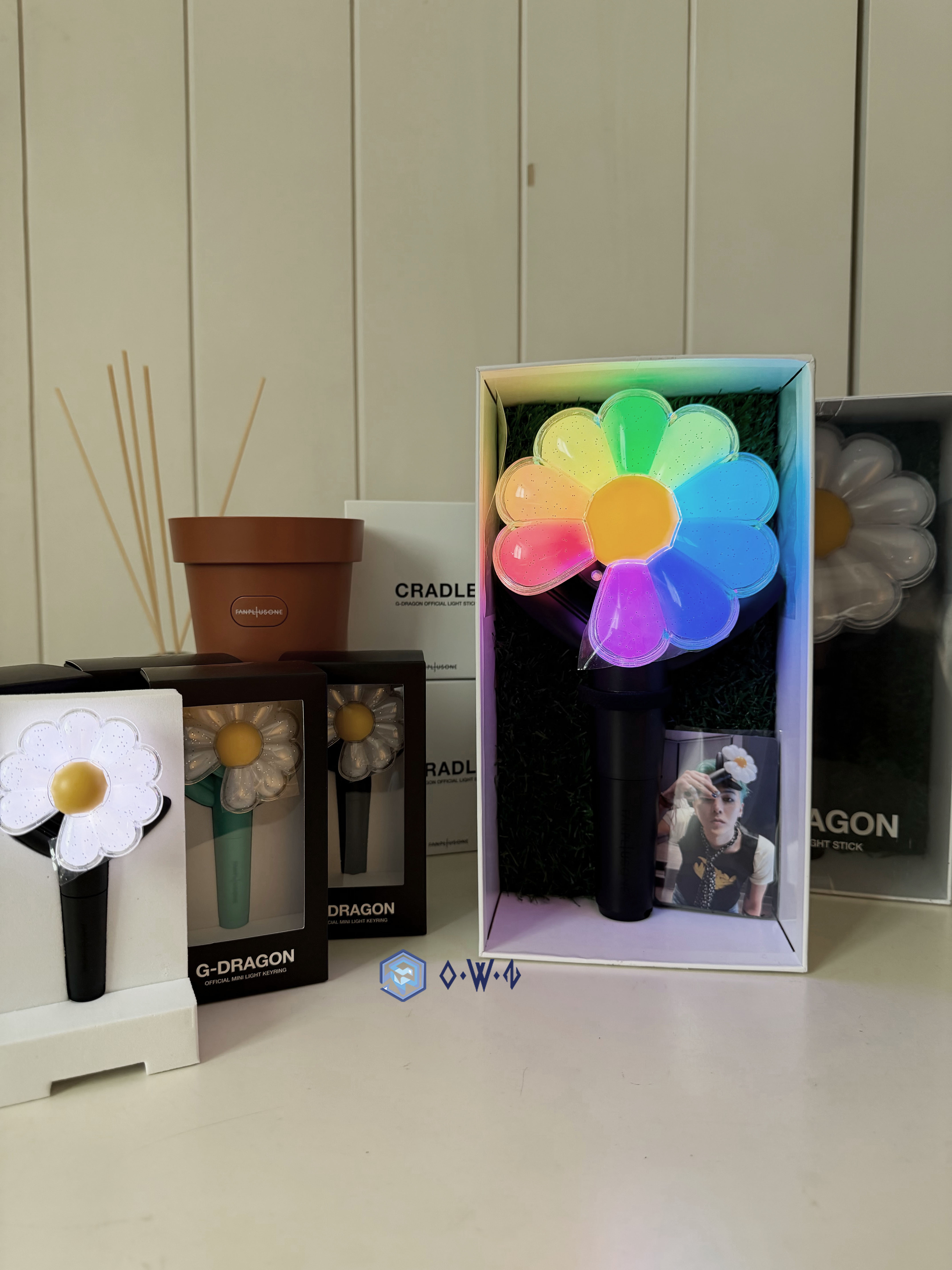 【OWN】GD 演唱會週邊 G-Dragon 權志龍 演唱會 手燈 吊飾 吊飾燈 小卡 充電 盆栽 限量