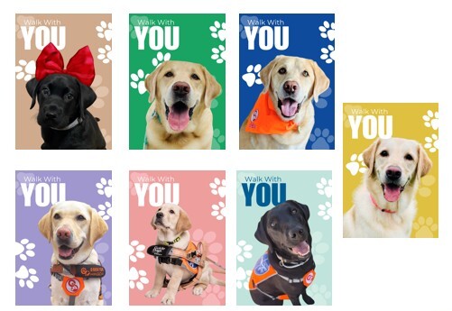 香港導盲犬文件套