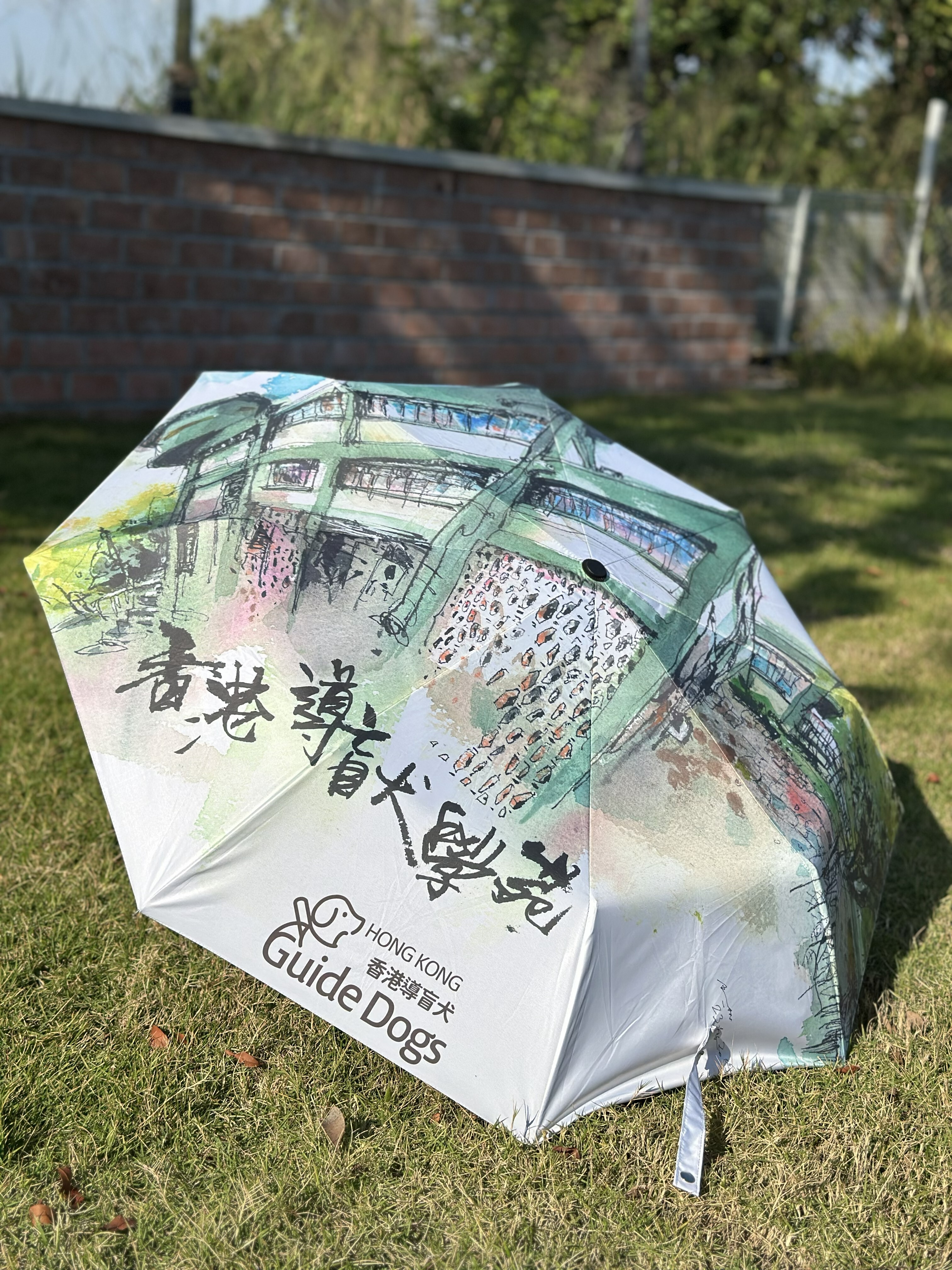 香港導盲犬學苑伸縮傘