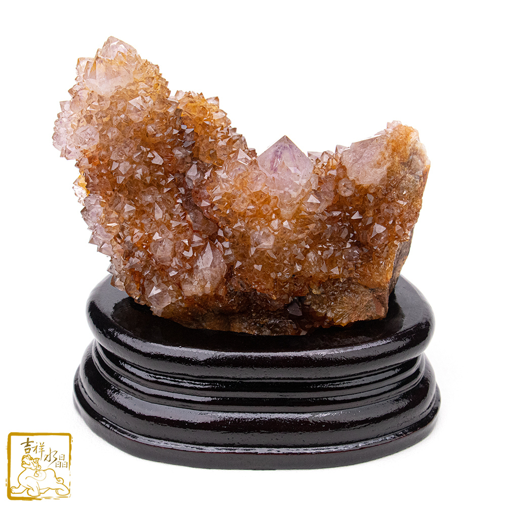 南非仙人掌紫水晶簇 553g 智慧貴人