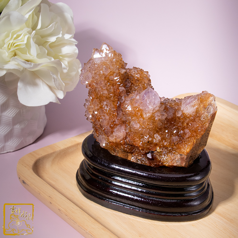 南非仙人掌紫水晶簇 553g 智慧貴人