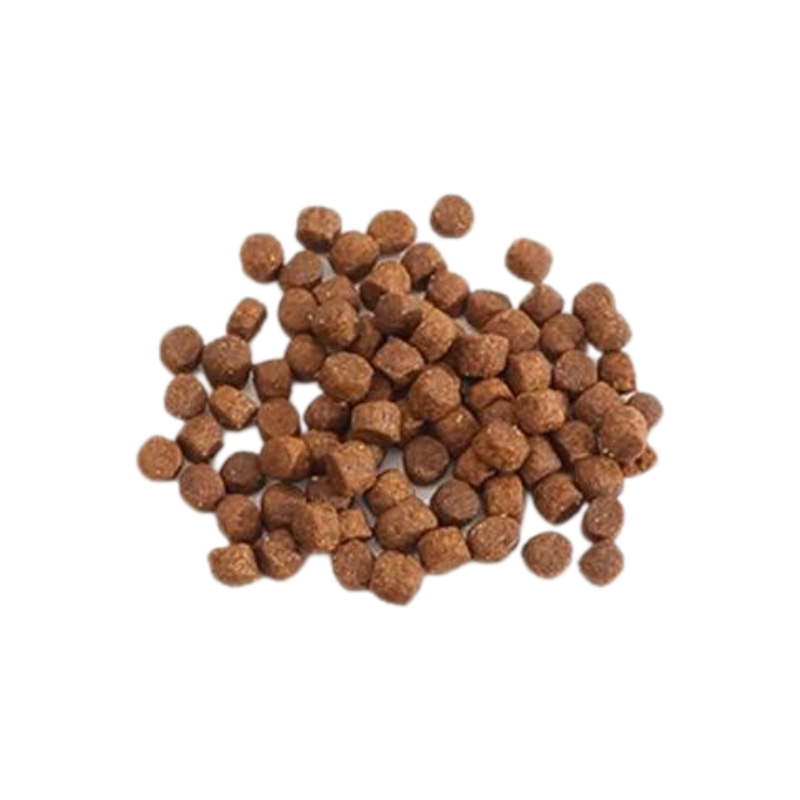 Fromm 無穀物三文魚雞肉鴨肉蔬菜狗糧 [電鍍藍] 26LB