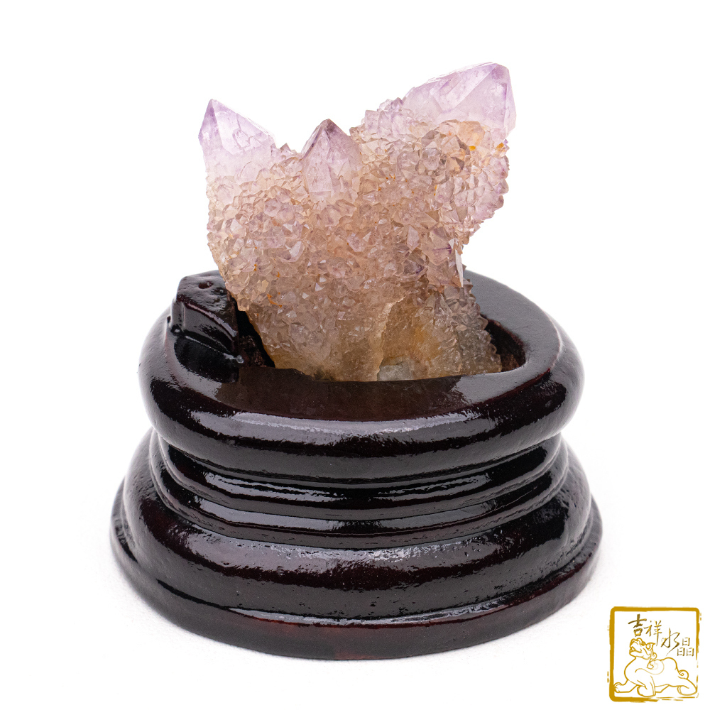 南非仙人掌紫水晶簇 168g 智慧貴人