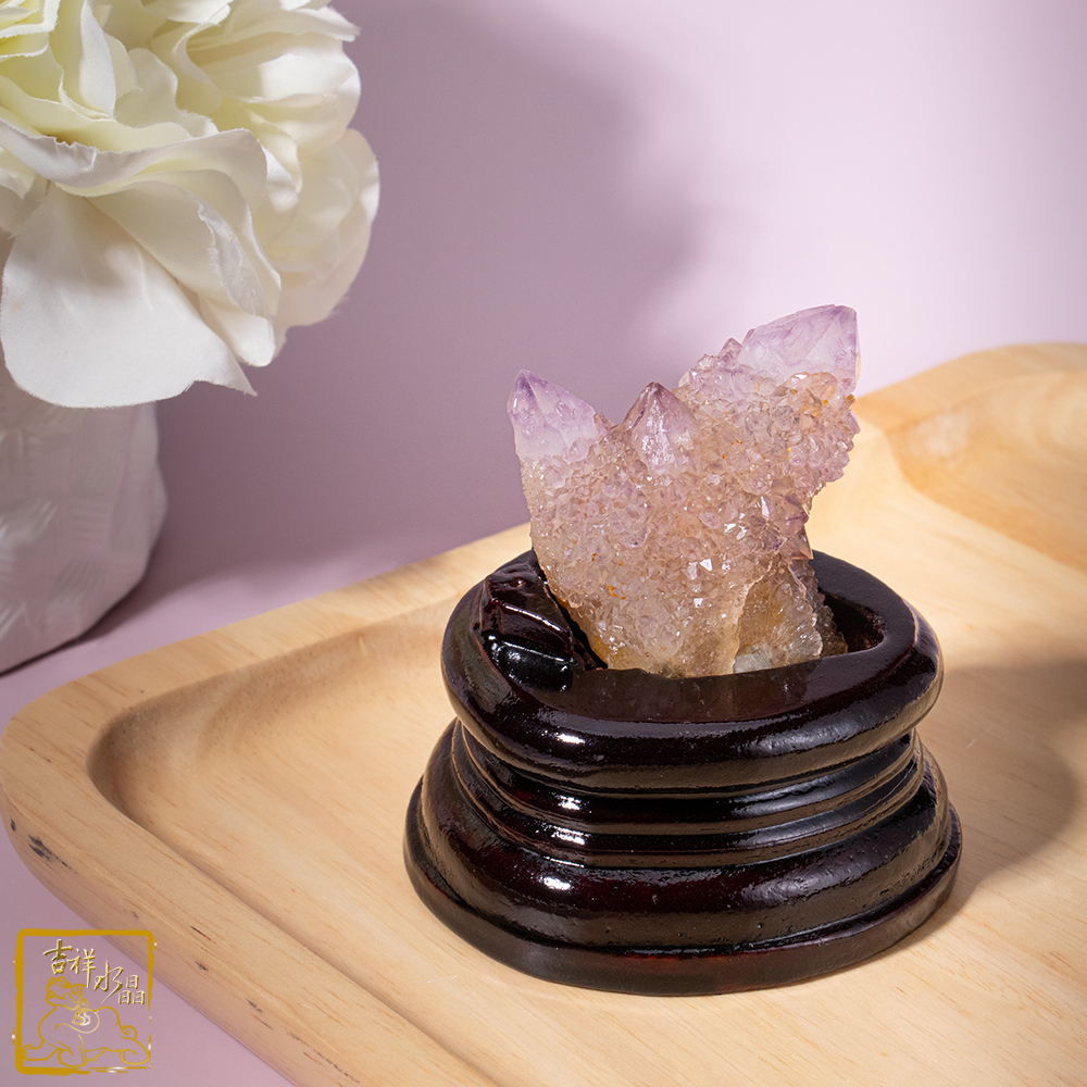 南非仙人掌紫水晶簇 168g 智慧貴人