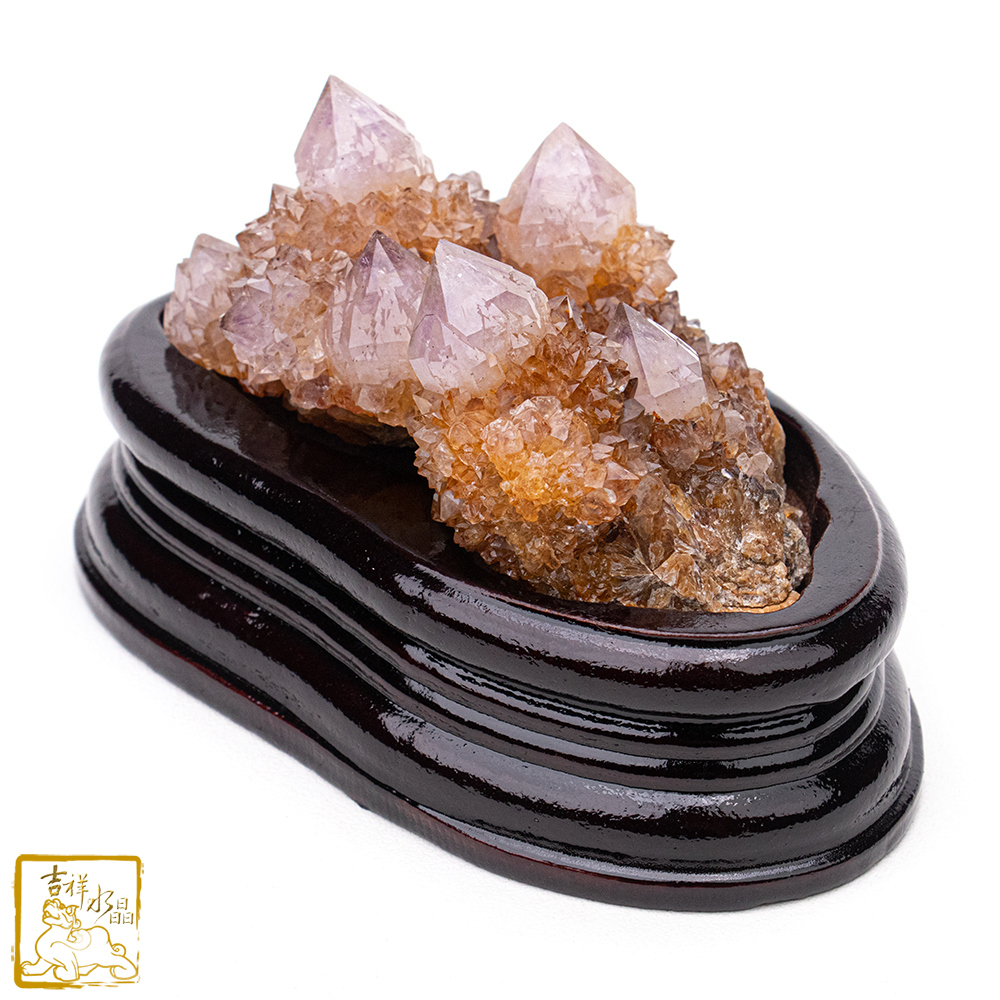 南非仙人掌紫水晶簇 439g 智慧貴人