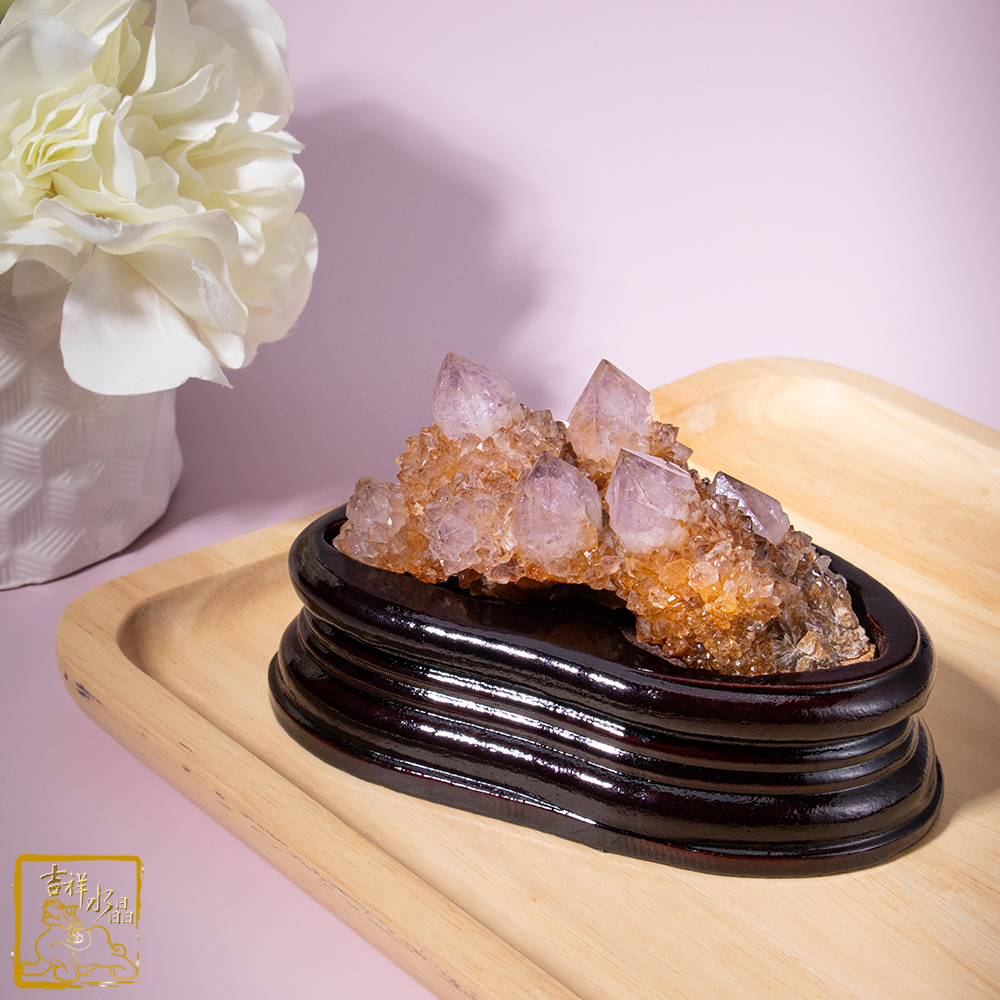 南非仙人掌紫水晶簇 439g 智慧貴人