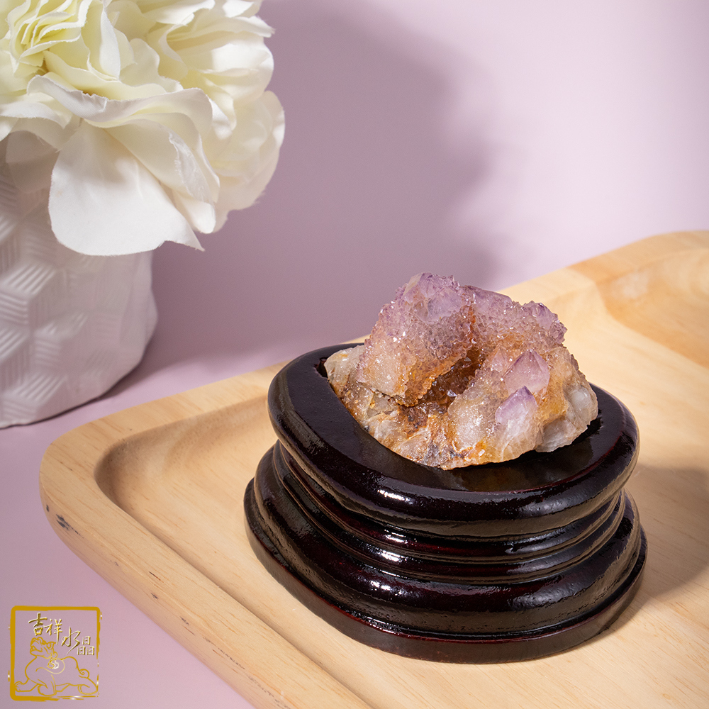 南非仙人掌紫水晶簇 195g 平衡淨化