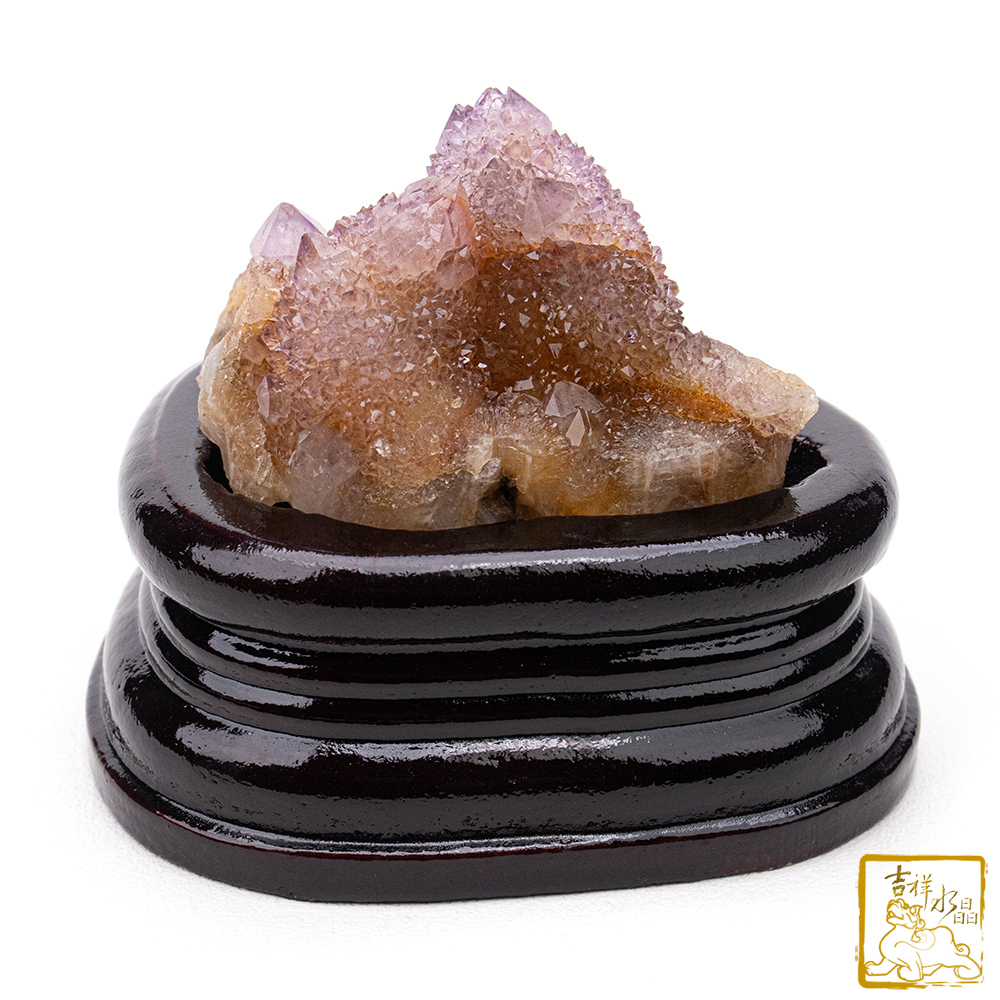 南非仙人掌紫水晶簇 195g 平衡淨化