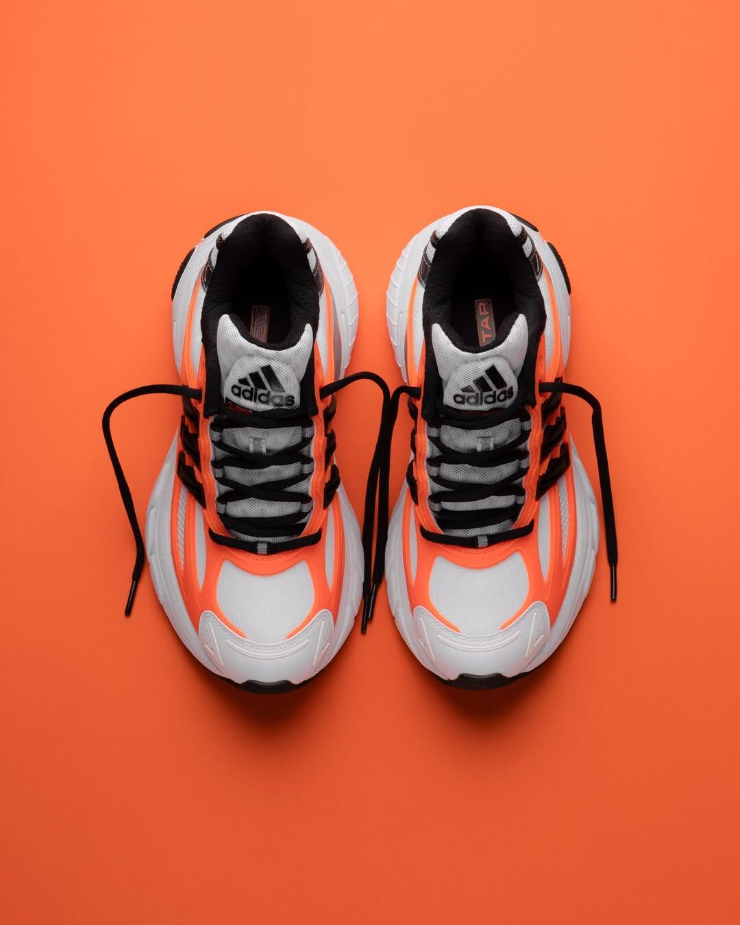Focus Store】預購Adidas Adistar XLG 2.0 