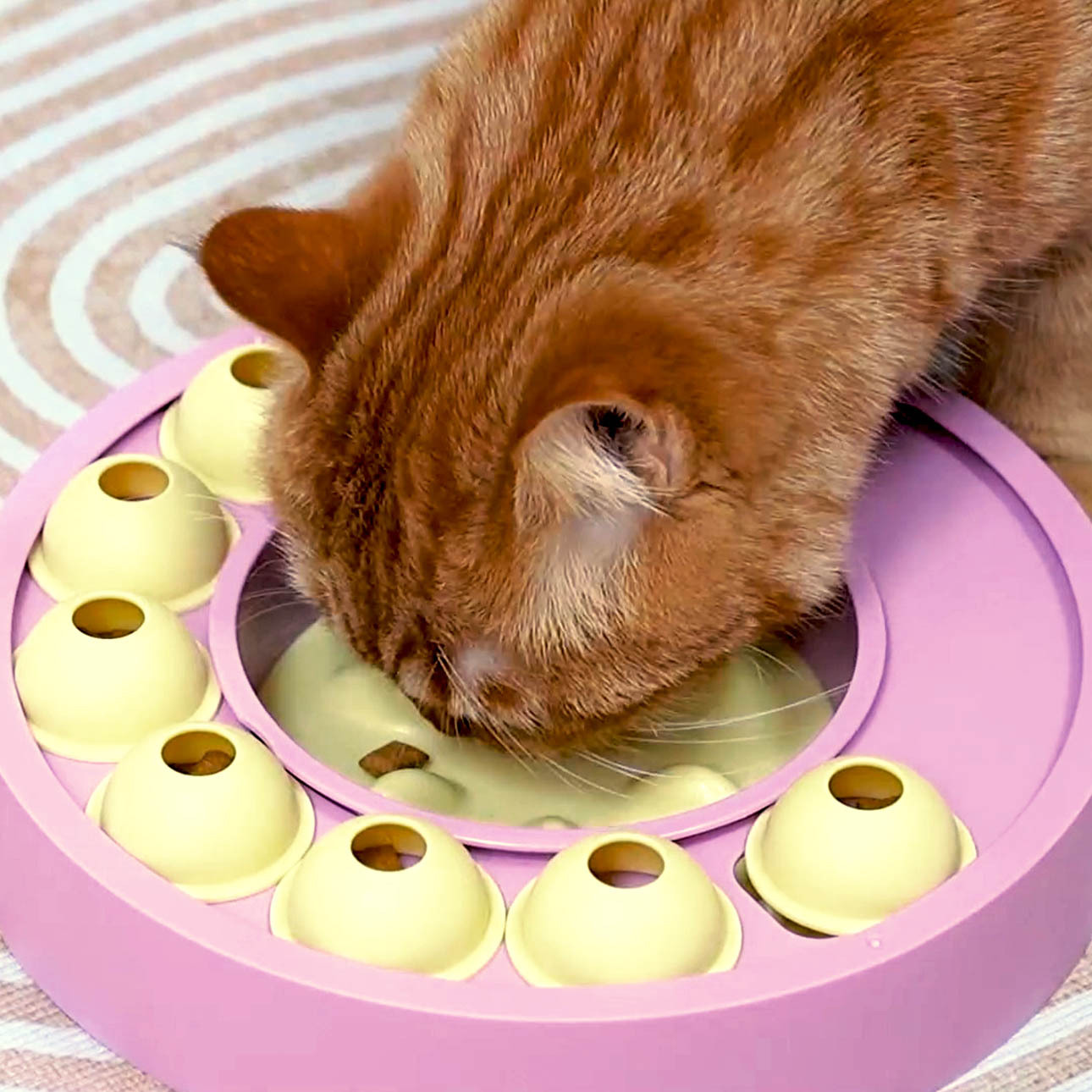 KADTC|【智遊慢食玩具盤】多功能益智玩具