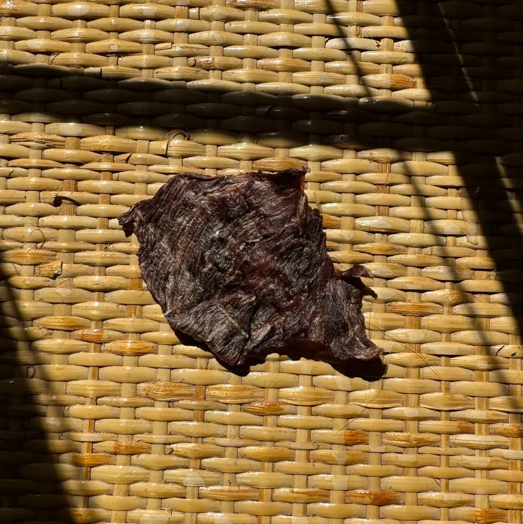 HAPPY RUFF很春毛小吃 ｜鴕鳥沙朗