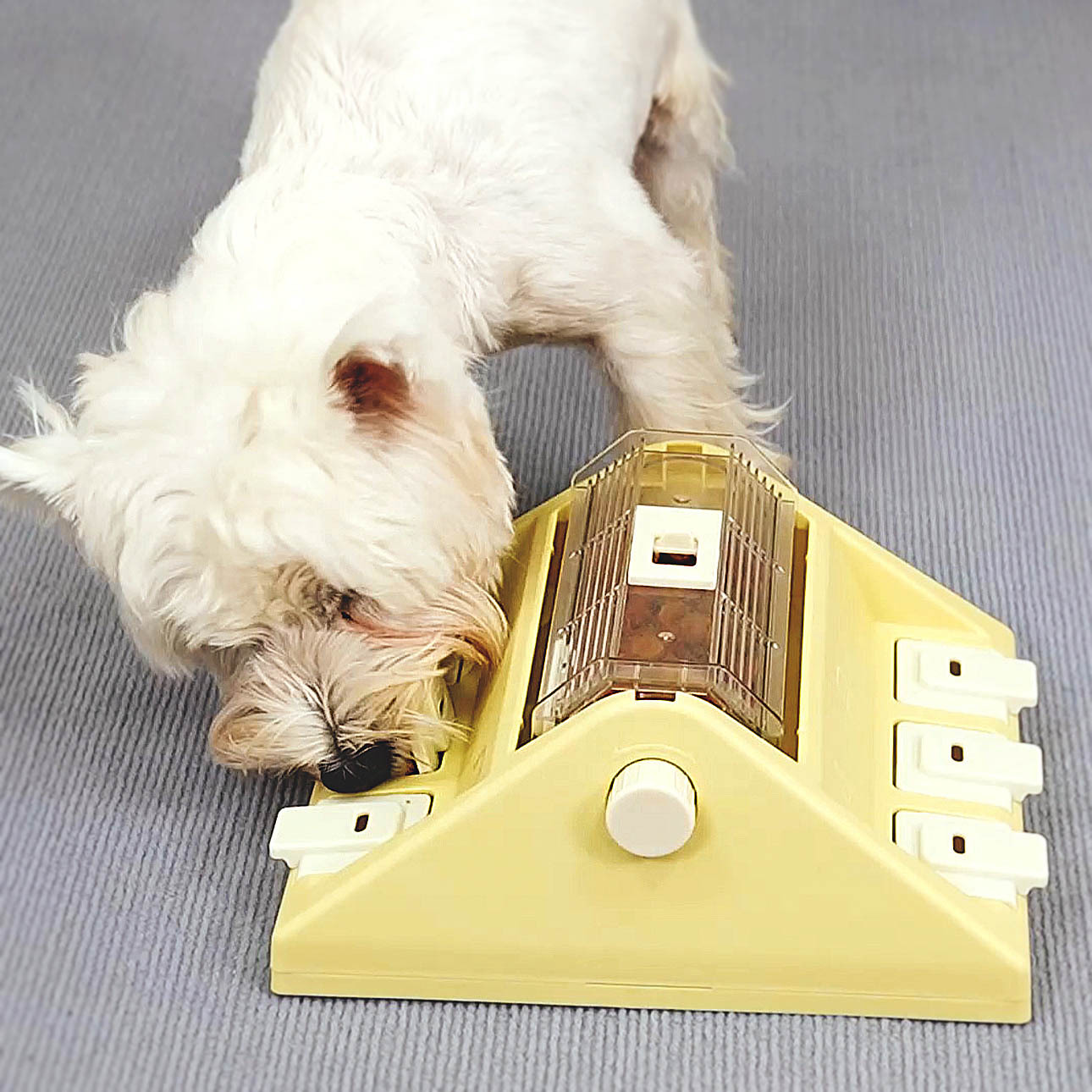 KADTC|【轉轉智趣盤】多功能慢食益智玩具