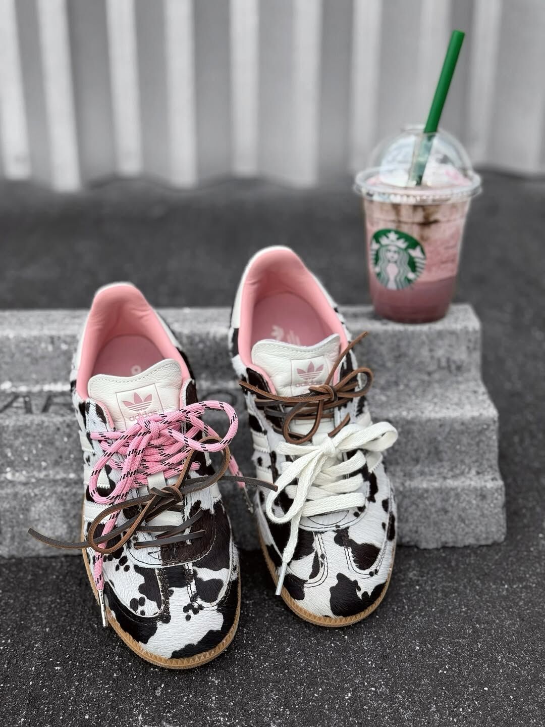 Adidas Originals Samba OG 歐洲限定 乳牛 動物紋 粉色 復古鞋 JR1256