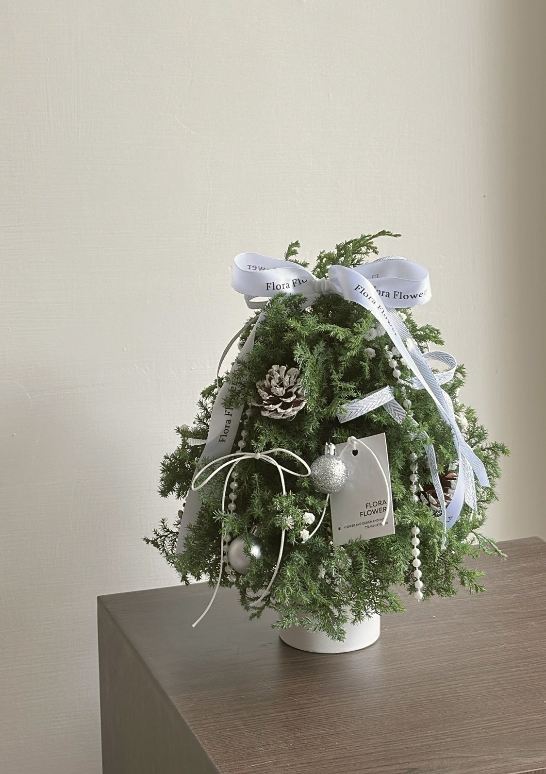 新鮮雪松 銀白聖誕樹