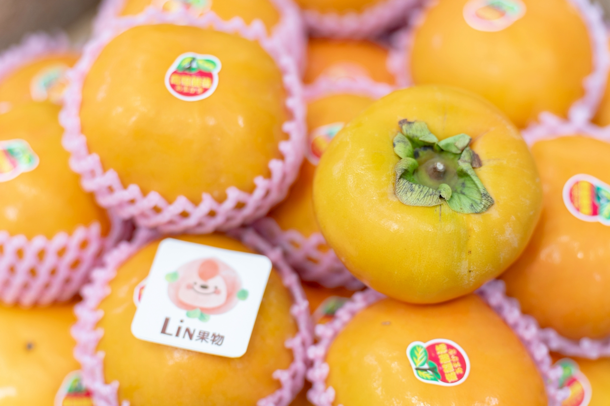 摩天嶺花御所甜柿