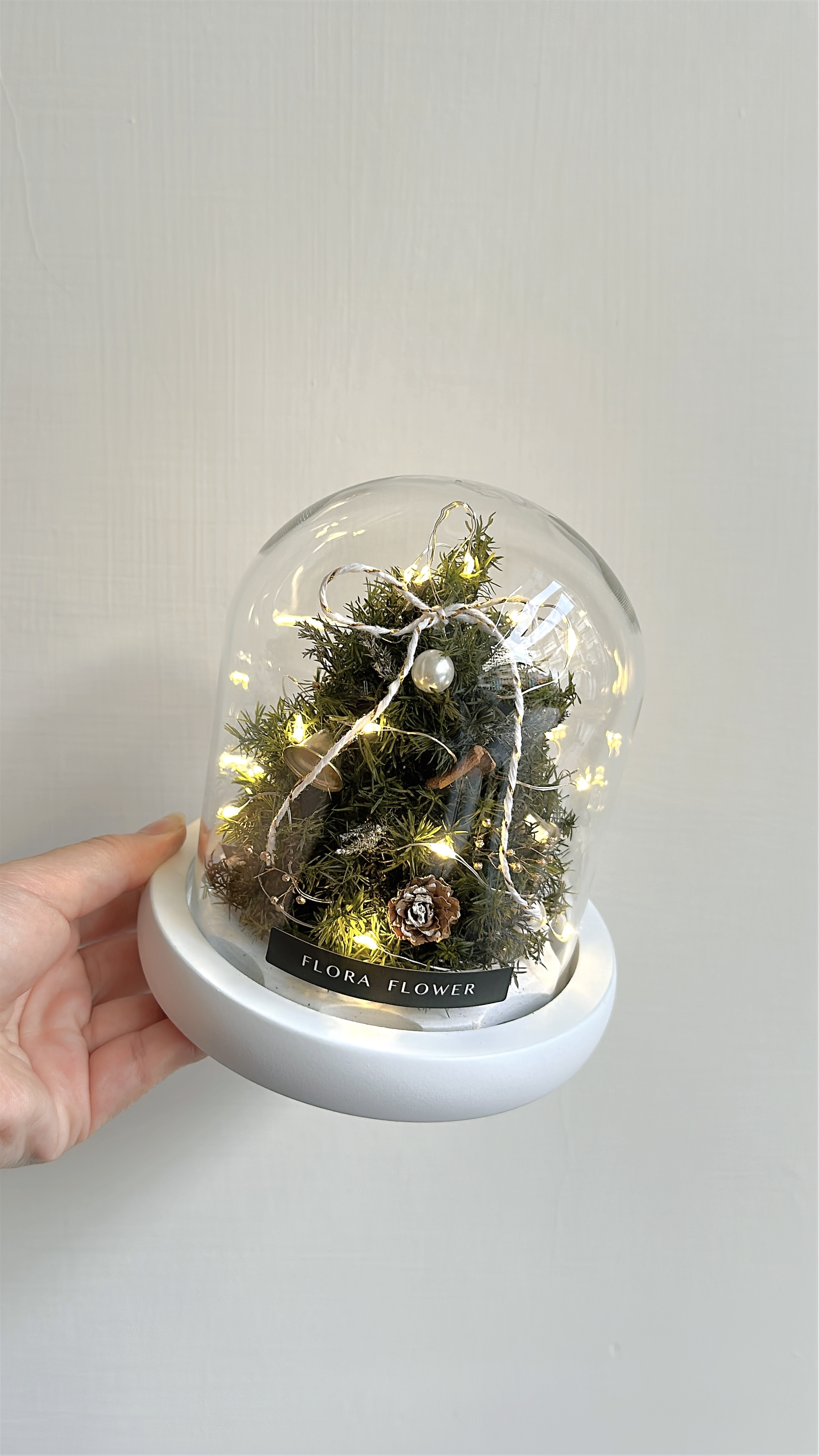 永生聖誕雪松 (Mini)