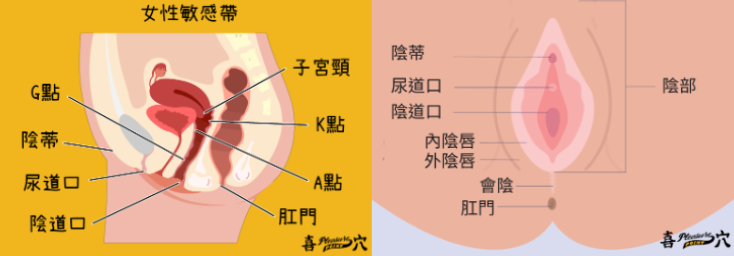 女性自慰敏感帶地圖-自慰高潮-女生自慰技巧