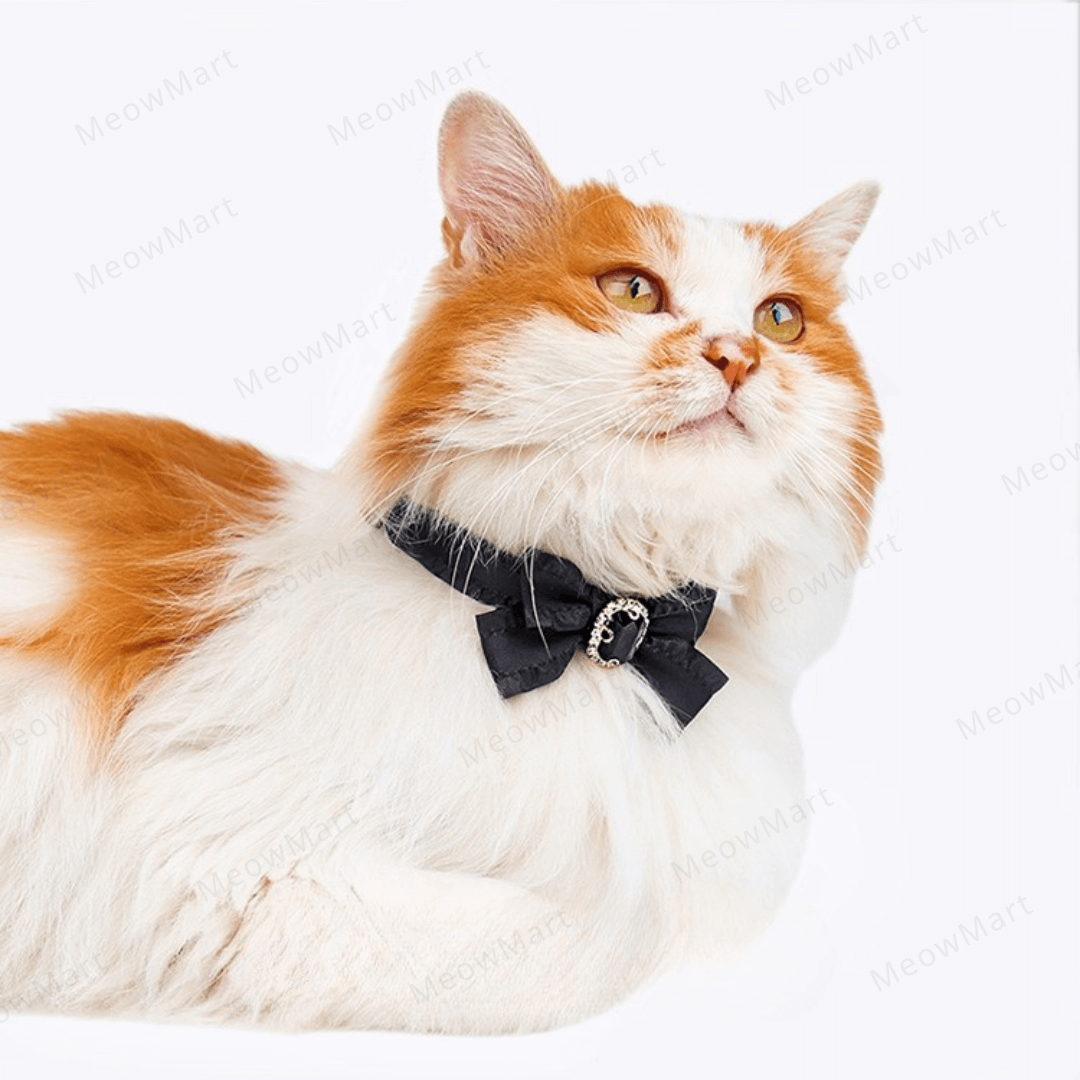 浪漫鑽石蝴蝶結貓頸圈