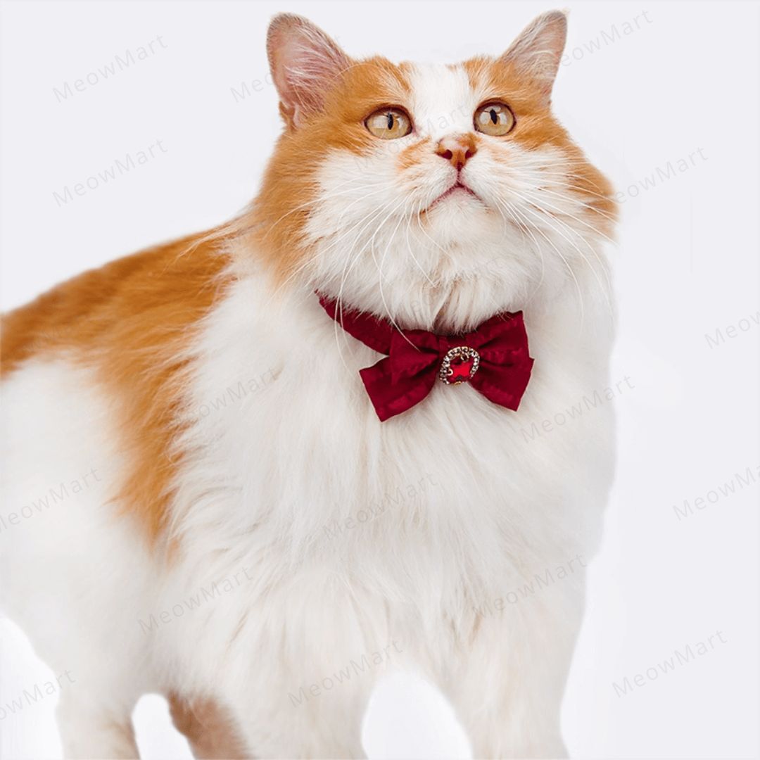 浪漫鑽石蝴蝶結貓頸圈