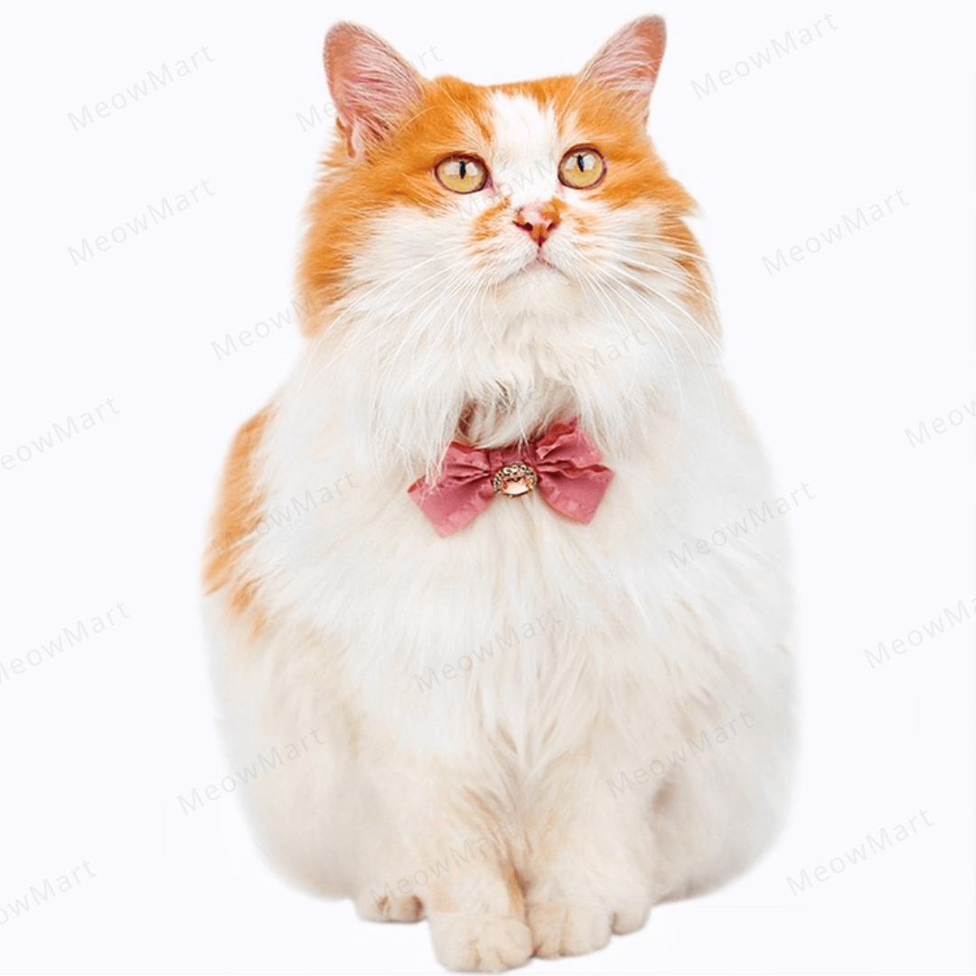 浪漫鑽石蝴蝶結貓頸圈