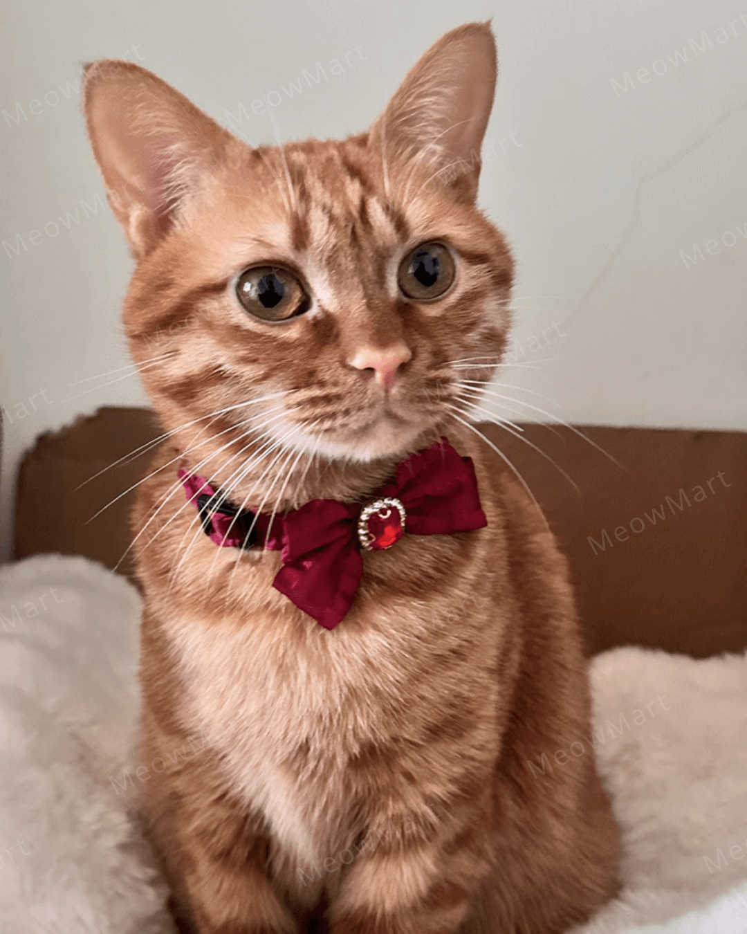 浪漫鑽石蝴蝶結貓頸圈