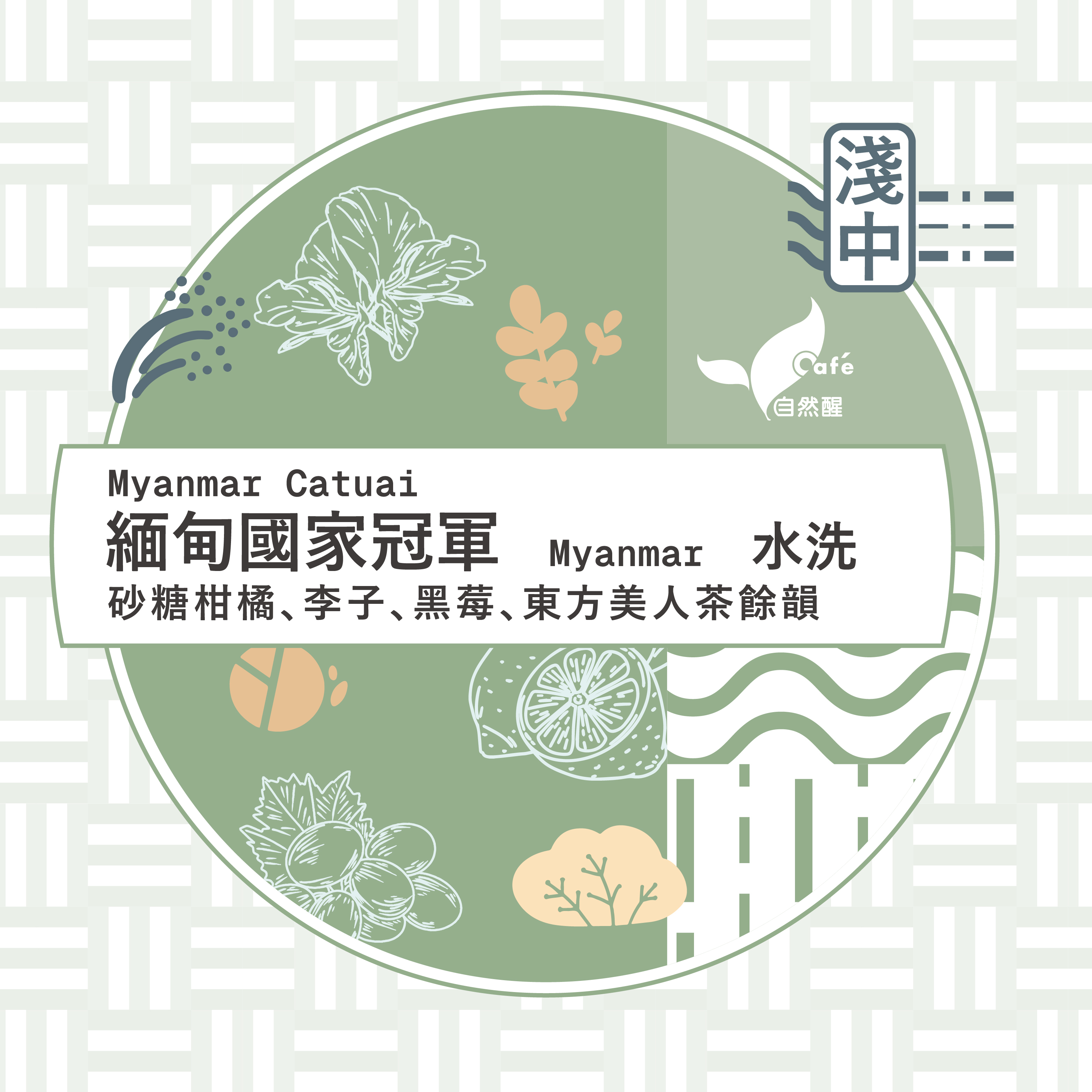 緬甸國家冠軍-綠茵莊園