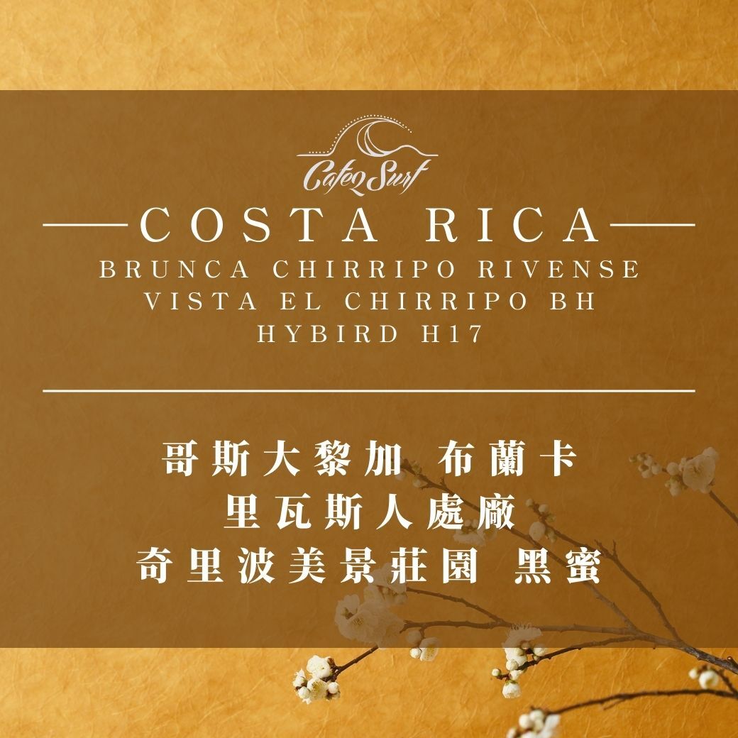淺烘焙︱#1哥斯大黎加 奇里波美景莊園 黑蜜﹙半磅裝／227g﹚