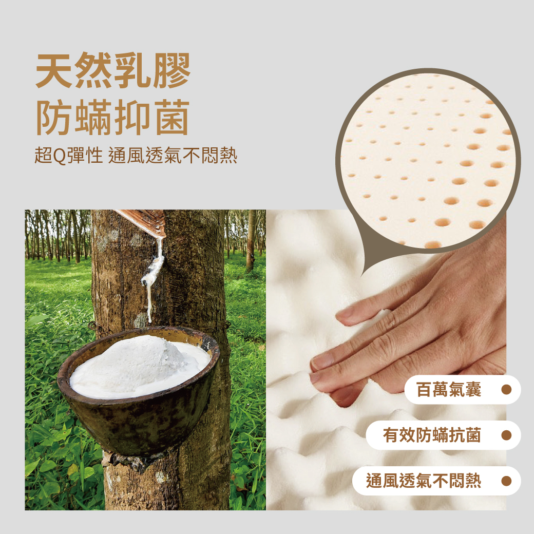 好眠日常｜100%泰國天然乳膠-防蟎抗菌枕