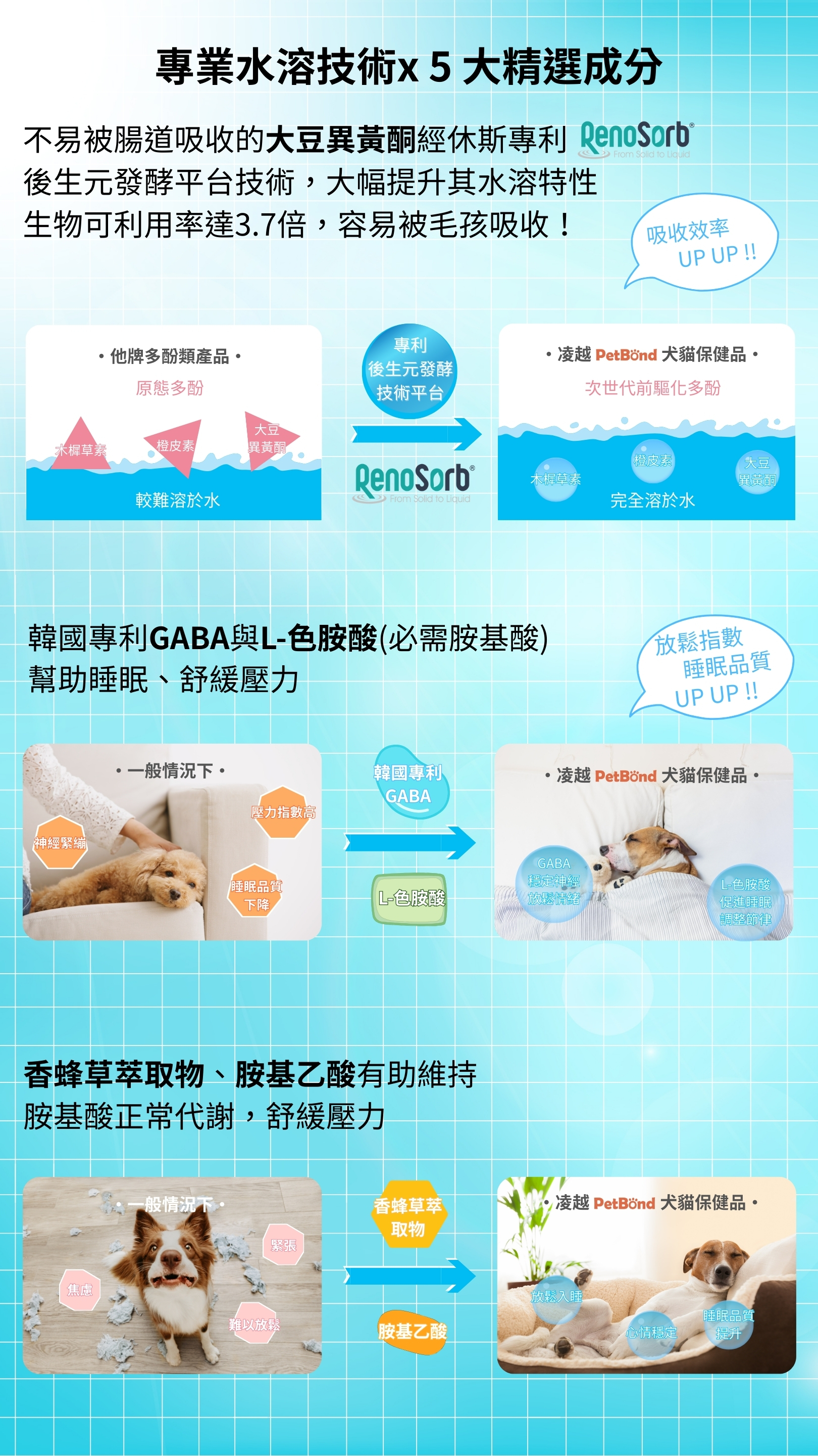 專業水溶技術與五大精選成分示意圖,說明大豆異黃酮經專利後生元發酵平台提高水溶性與吸收率;比較他牌多酚較難溶於水與 PetBond 大豆異黃酮完全溶於水的差異。呈現韓國專利 GABA 與 L-色胺酸協助睡眠與舒緩壓力的成分流程示意,並展示一般情況下狗狗緊張易受驚 vs 食用後放鬆熟睡的對照圖。下方另有香蜂草萃取物與胺基乙酸幫助維持代謝、舒緩壓力的成分示意圖與毛孩放鬆休息照片。背景為藍色網格科學風格。